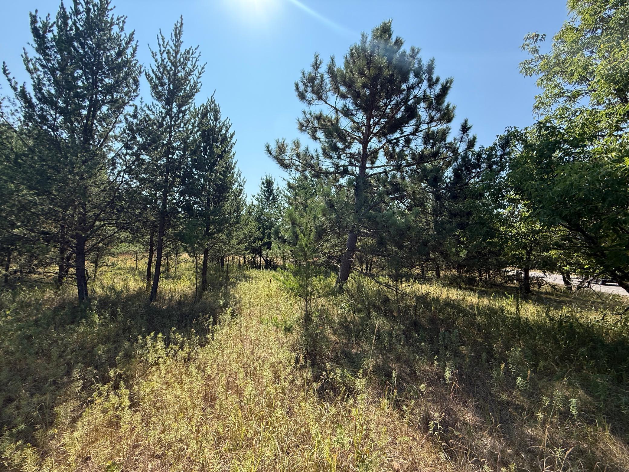 land for sale at TBD SE 13th St in Brainerd, MN (photo 9 of 13)