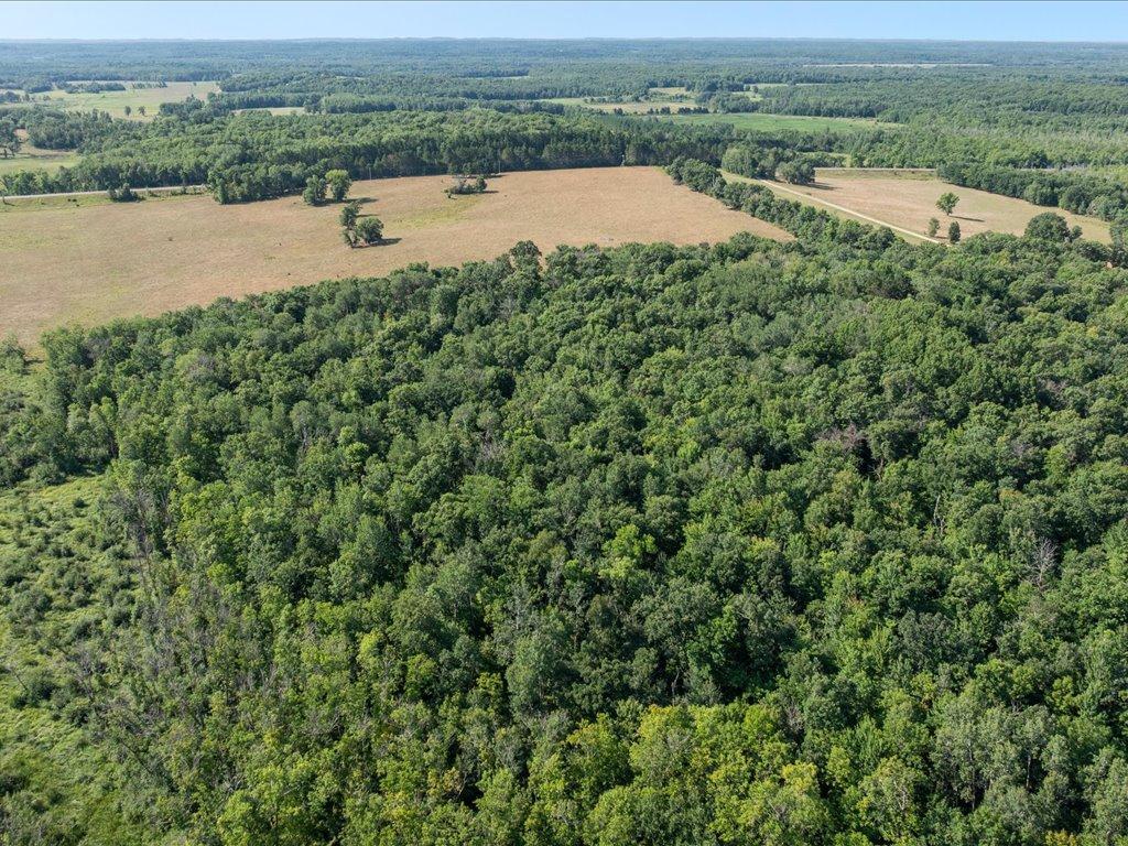 land for sale at tbd 80 acres State 210 in Pillager, MN (photo 12 of 19)