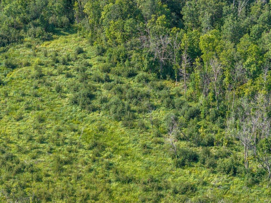 land for sale at tbd 80 acres State 210 in Pillager, MN (photo 13 of 19)