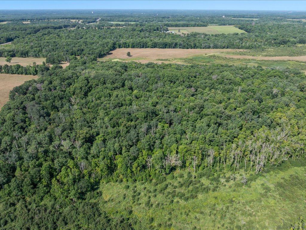 land for sale at tbd 80 acres State 210 in Pillager, MN (photo 14 of 19)