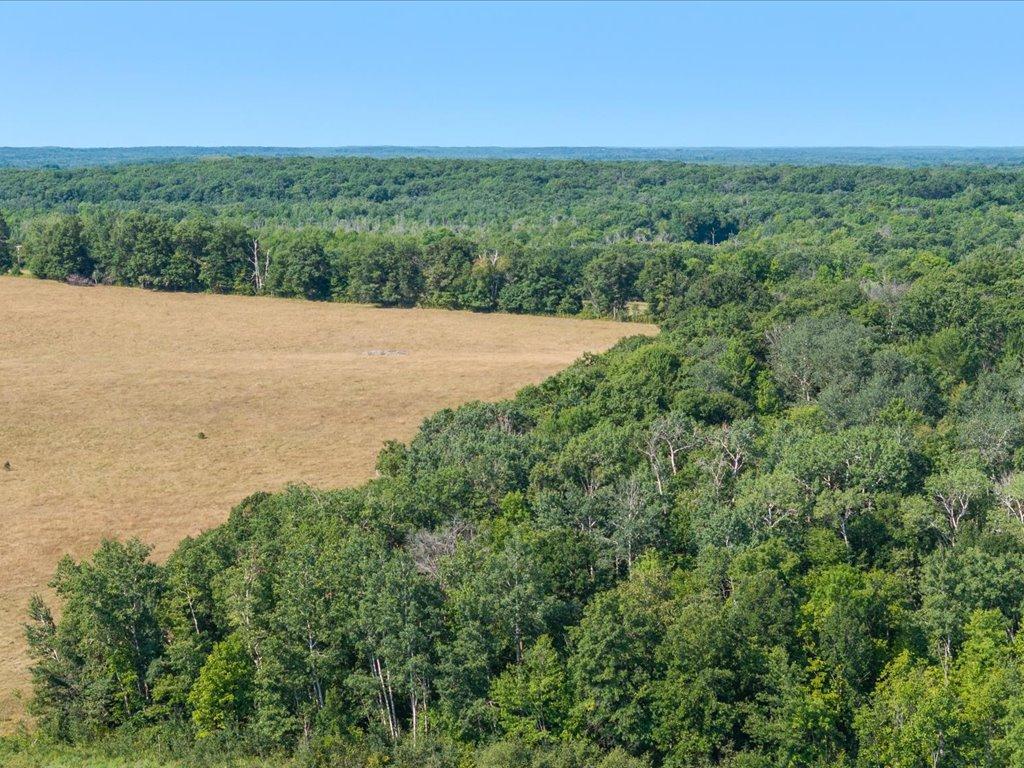 land for sale at tbd 80 acres State 210 in Pillager, MN (photo 15 of 19)