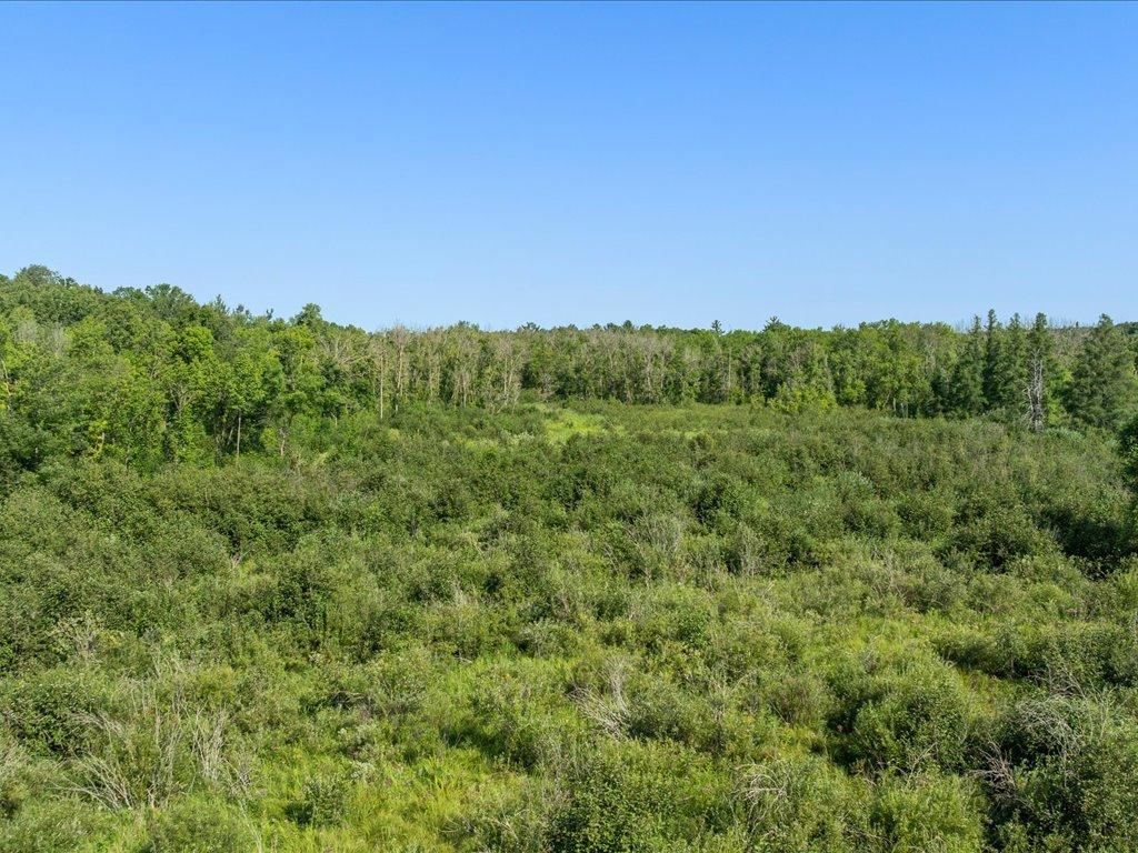 land for sale at tbd 80 acres State 210 in Pillager, MN (photo 17 of 19)