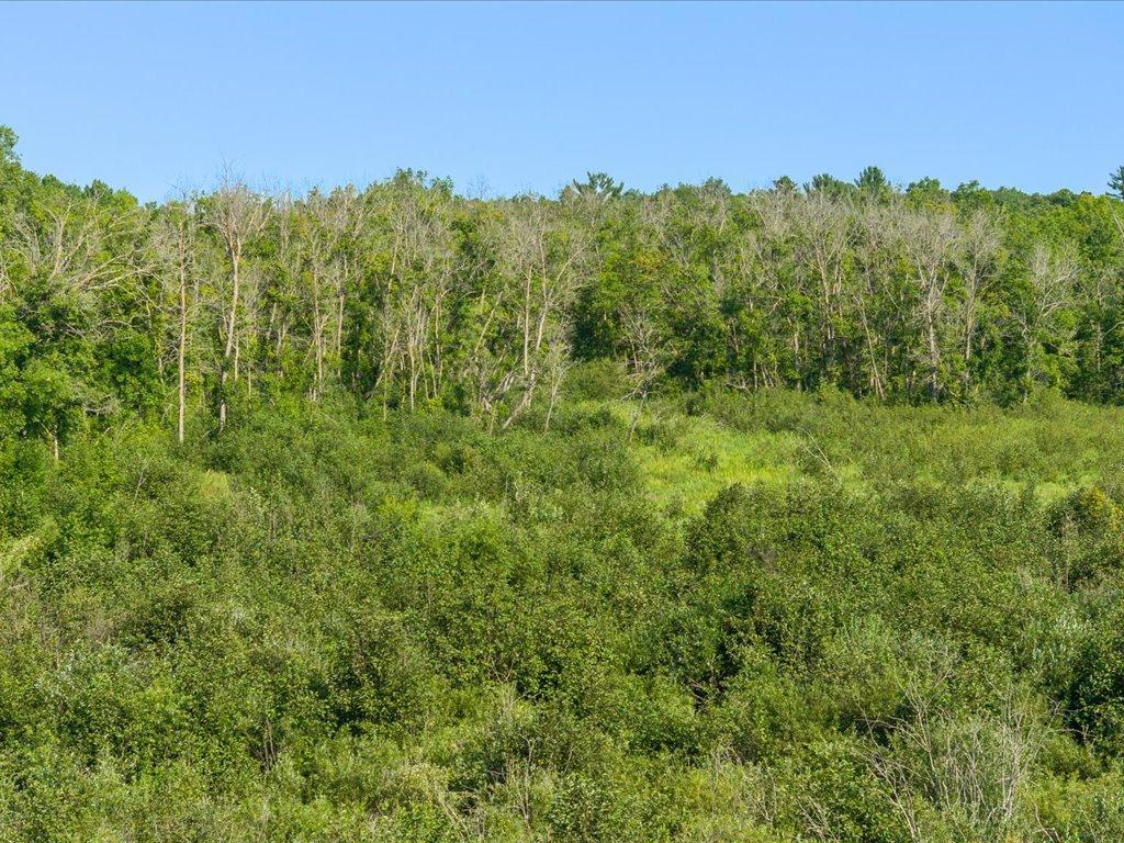 land for sale at tbd 80 acres State 210 in Pillager, MN (photo 18 of 19)