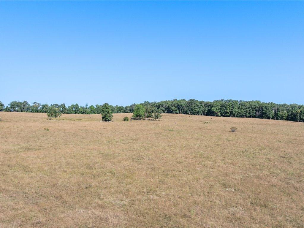 land for sale at tbd 80 acres State 210 in Pillager, MN (photo 4 of 19)