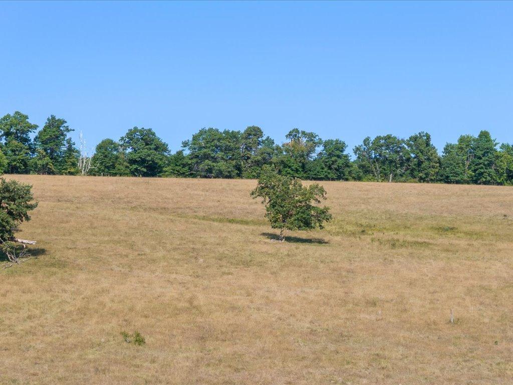 land for sale at tbd 80 acres State 210 in Pillager, MN (photo 5 of 19)