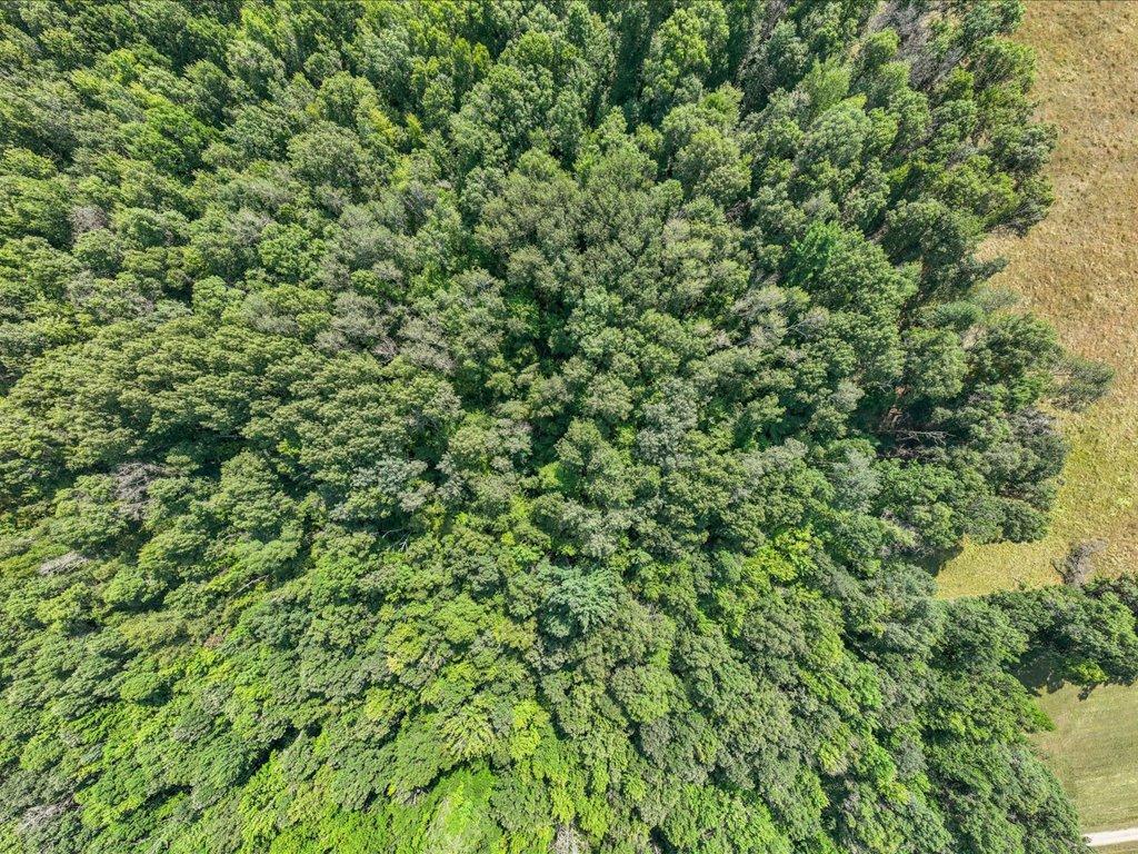 land for sale at tbd 80 acres State 210 in Pillager, MN (photo 8 of 19)