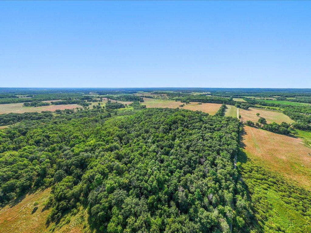 land for sale at tbd 80 acres State 210 in Pillager, MN (photo 9 of 19)
