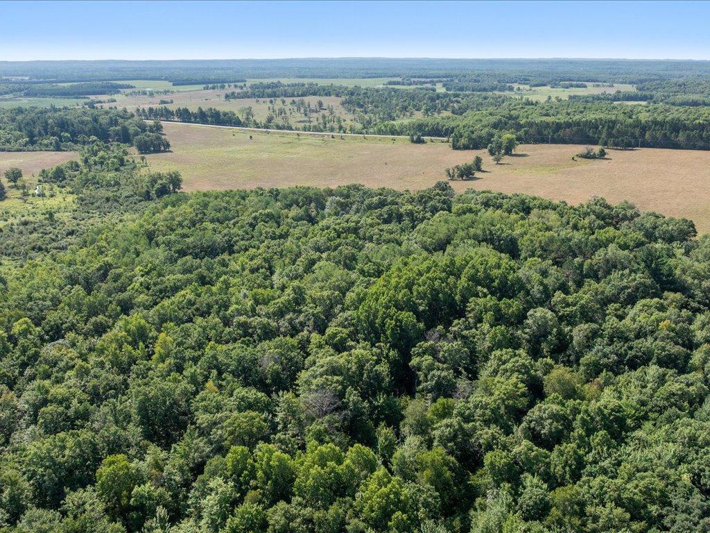 land for sale at tbd 80 acres State 210 in Pillager, MN (photo 10 of 19)