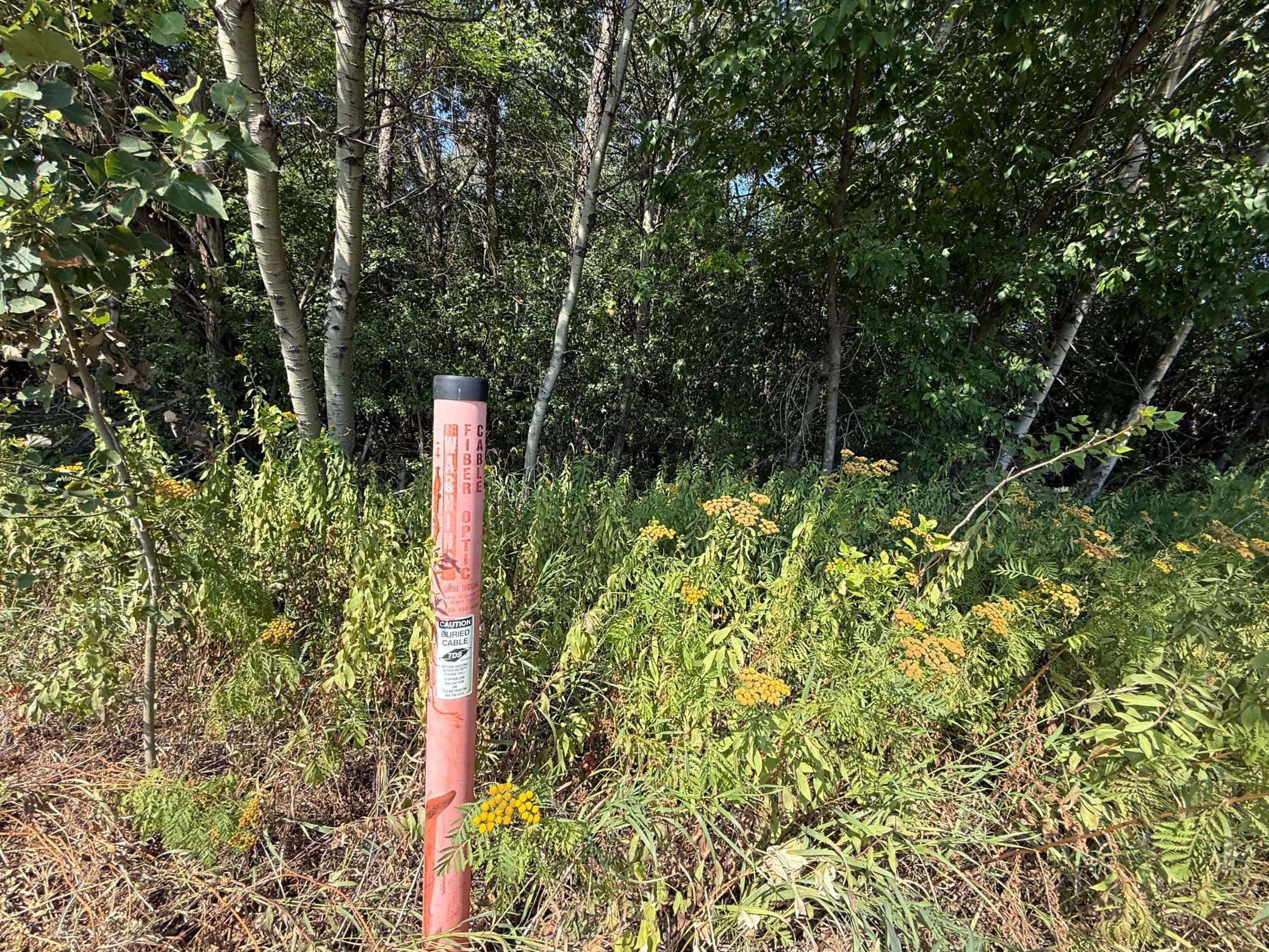 land for sale at TBD 13th St SE in Brainerd, MN (photo 3 of 9)