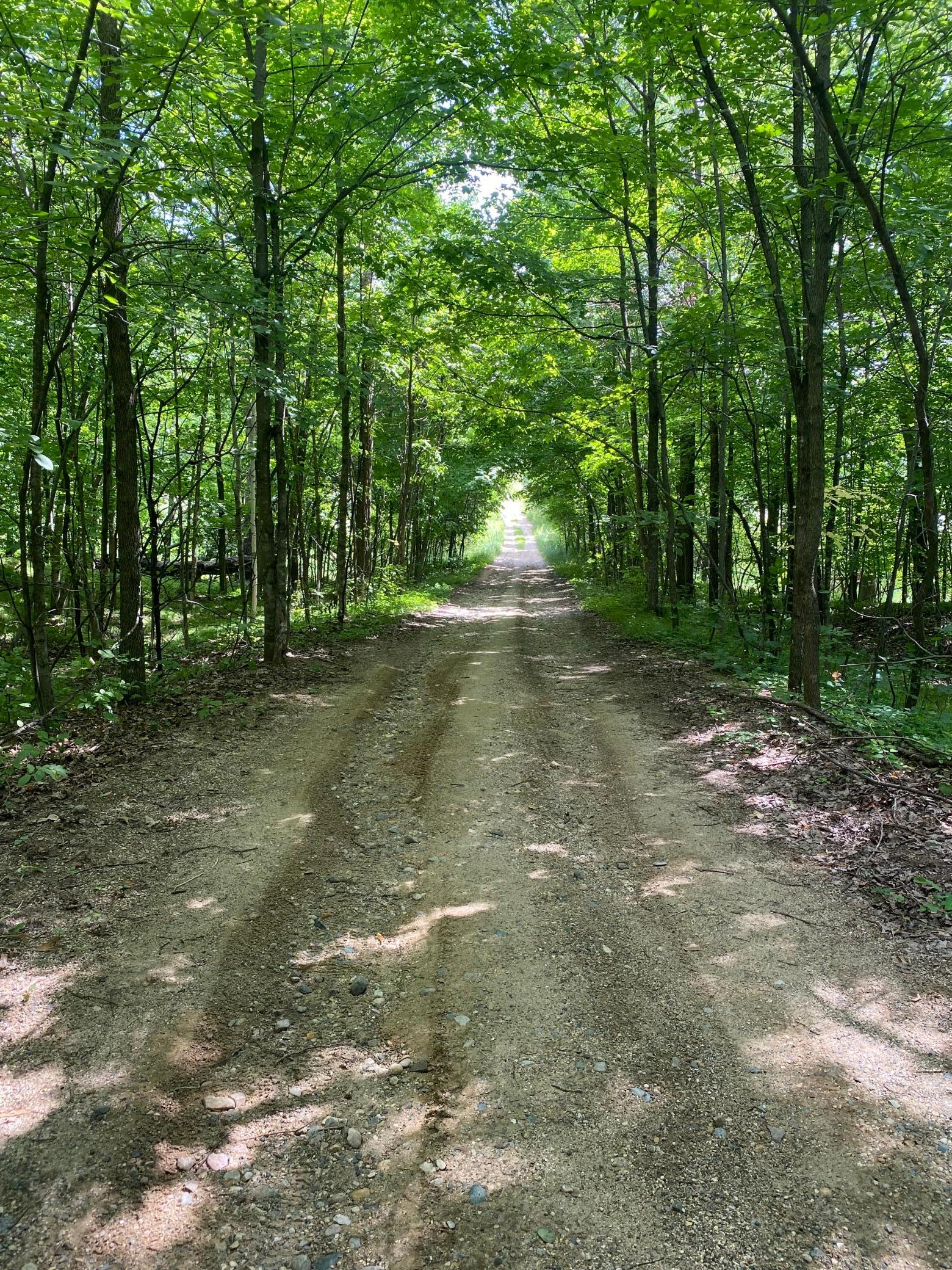 land for sale at 1407 Timber Lane SW in Garfield, MN (photo 14 of 17)