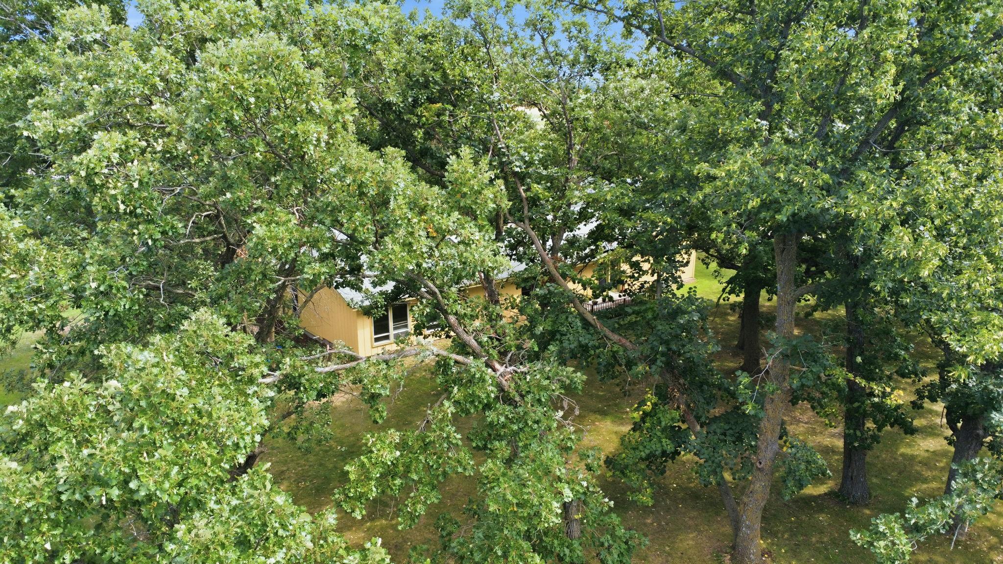 1900 single family home for sale at 5368 County Road 23 SE in Alexandria, MN — 4 bed, 3 bath (photo 43 of 54)