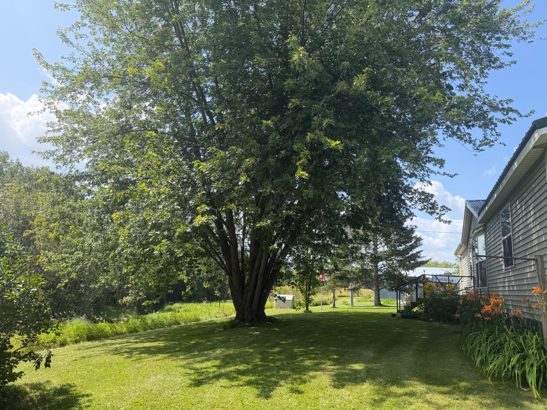 2000 single family home for sale at 1506 County Road 1 SW in Baudette, MN — 3 bed, 2 bath (photo 11 of 23)