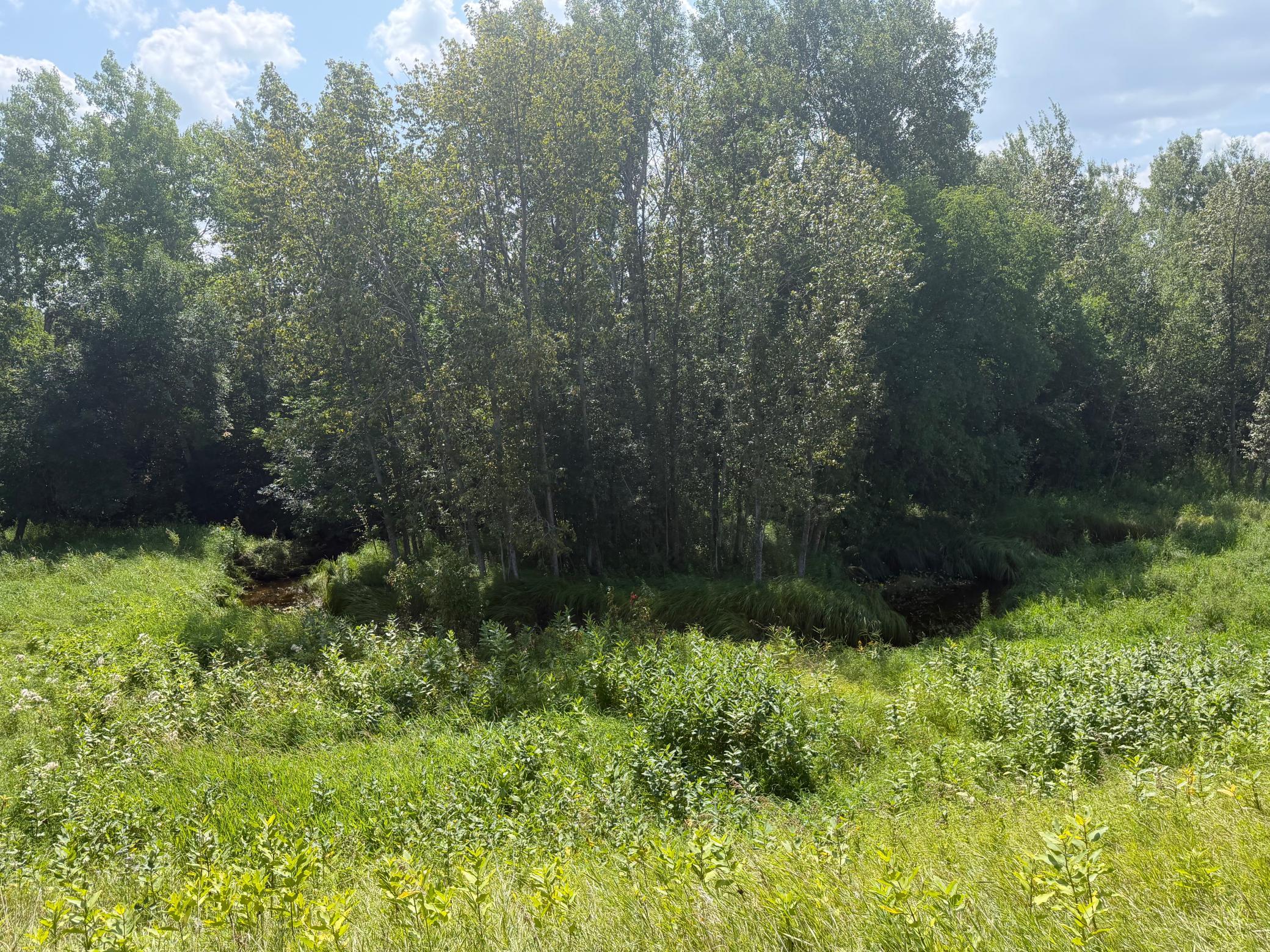 2000 single family home for sale at 1506 County Road 1 SW in Baudette, MN — 3 bed, 2 bath (photo 12 of 23)