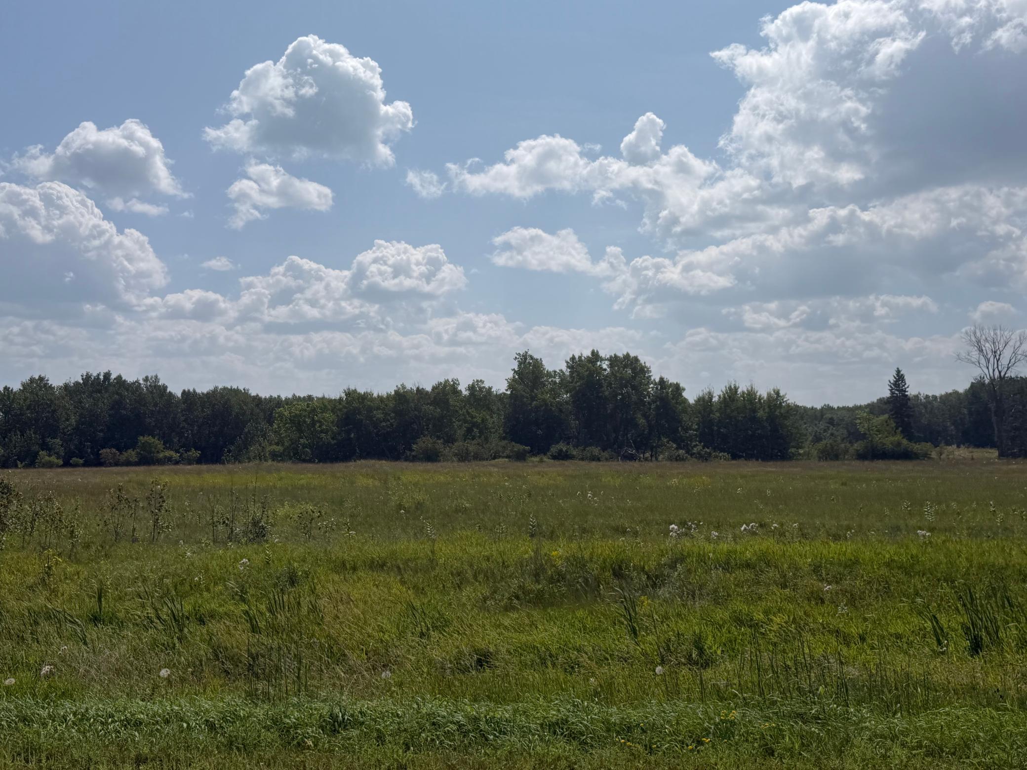 2000 single family home for sale at 1506 County Road 1 SW in Baudette, MN — 3 bed, 2 bath (photo 21 of 23)
