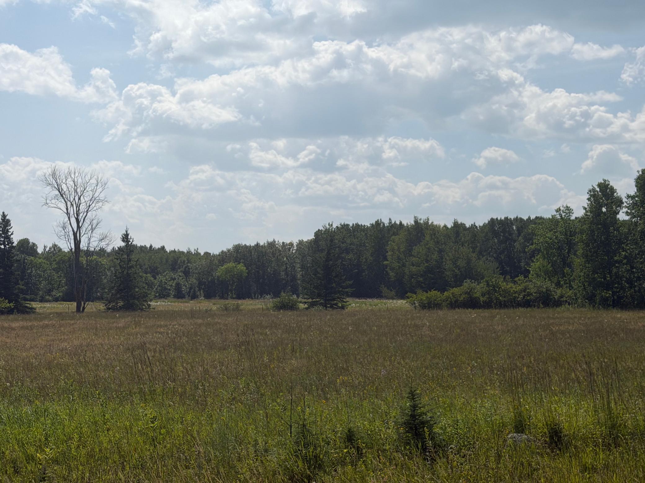 2000 single family home for sale at 1506 County Road 1 SW in Baudette, MN — 3 bed, 2 bath (photo 22 of 23)