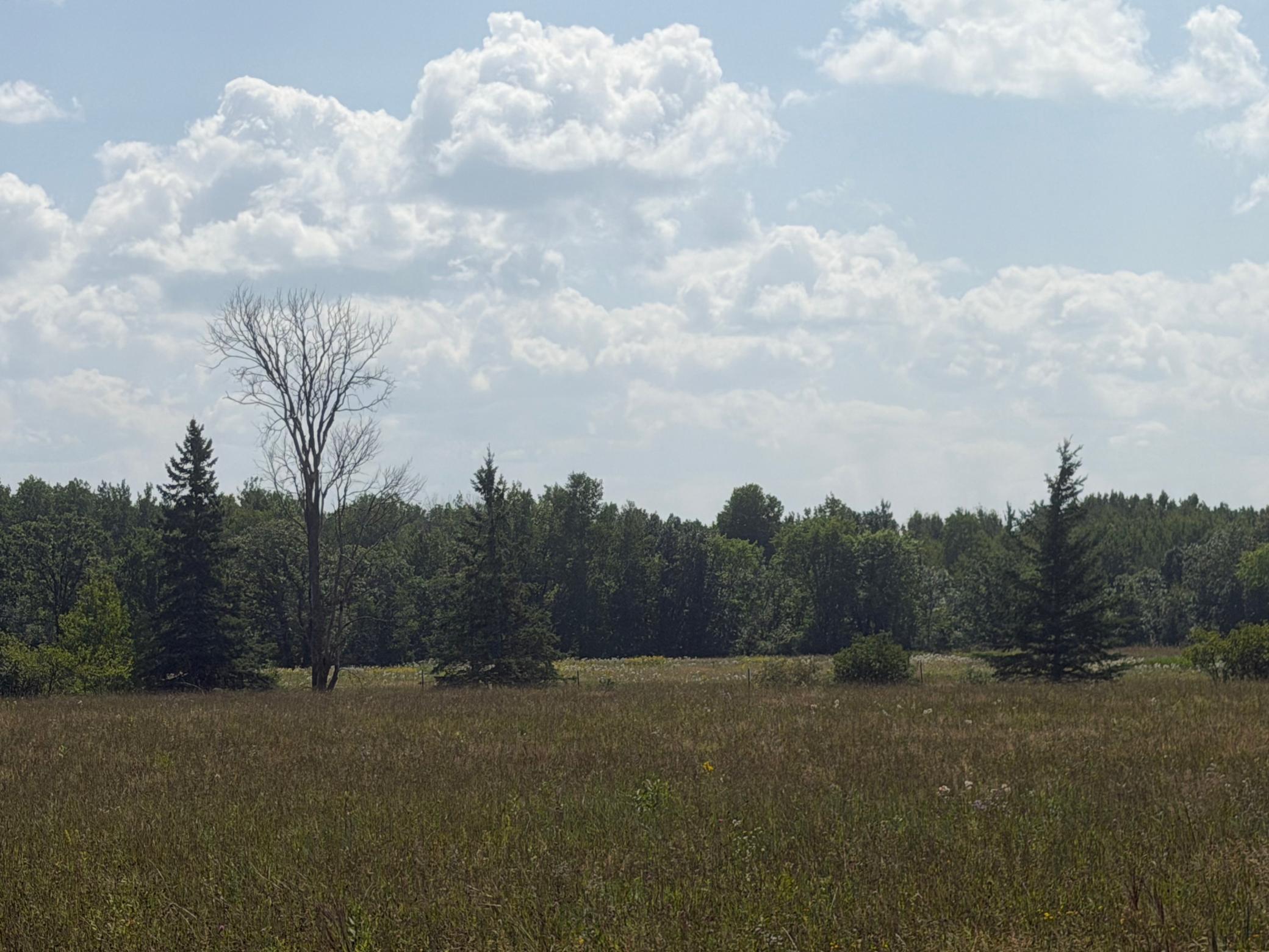 2000 single family home for sale at 1506 County Road 1 SW in Baudette, MN — 3 bed, 2 bath (photo 23 of 23)