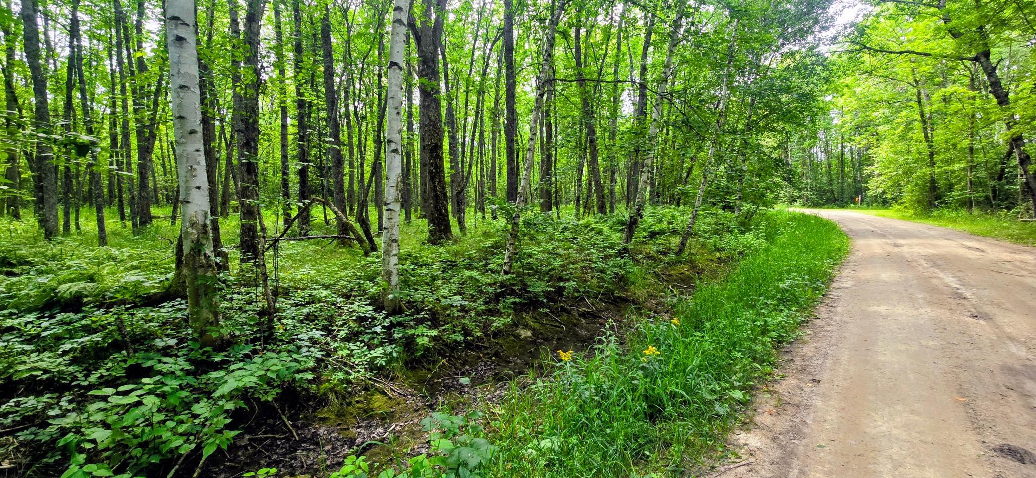 land for sale at TBD Dawson Road NW in Angle Inlet, MN (photo 5 of 6)