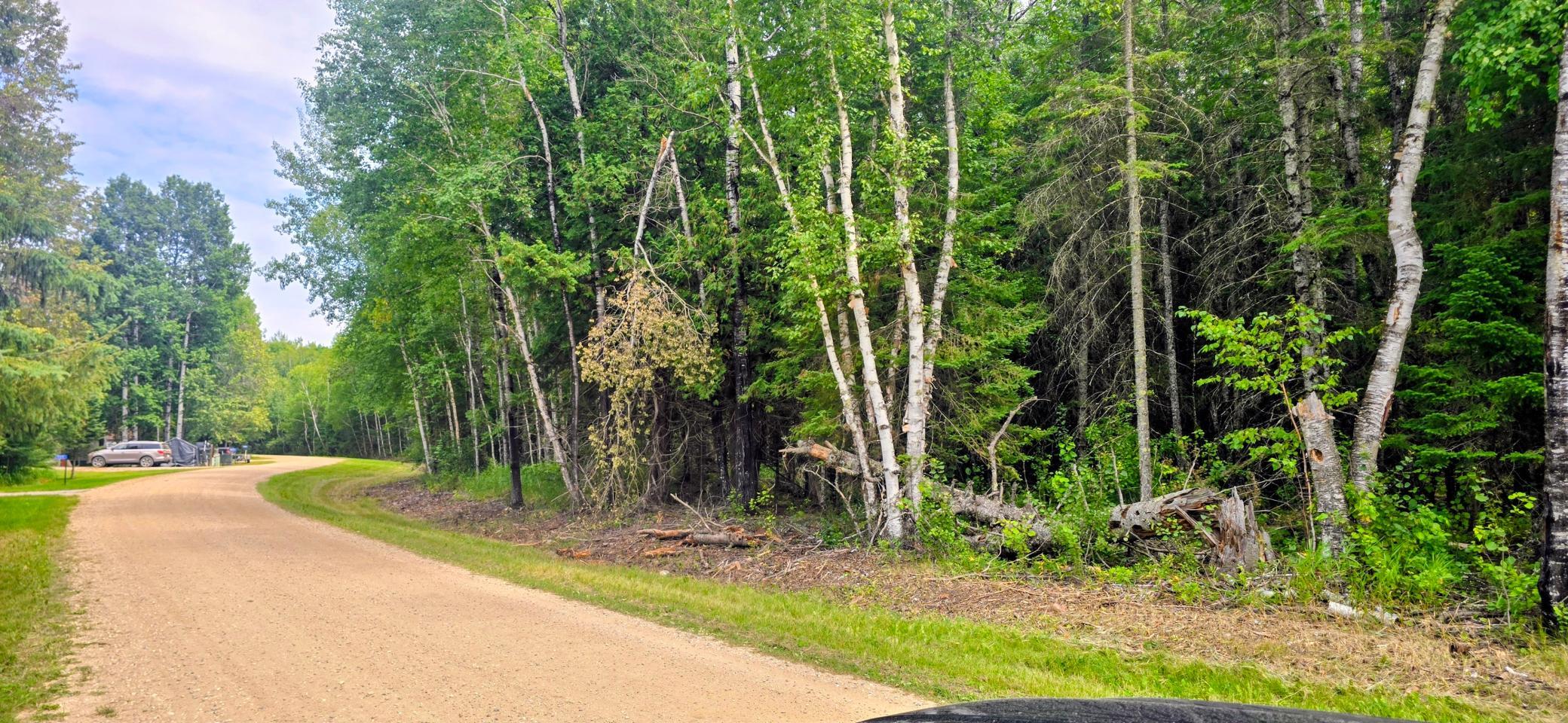land for sale at TBD Dawson Road NW in Angle Inlet, MN (photo 6 of 6)
