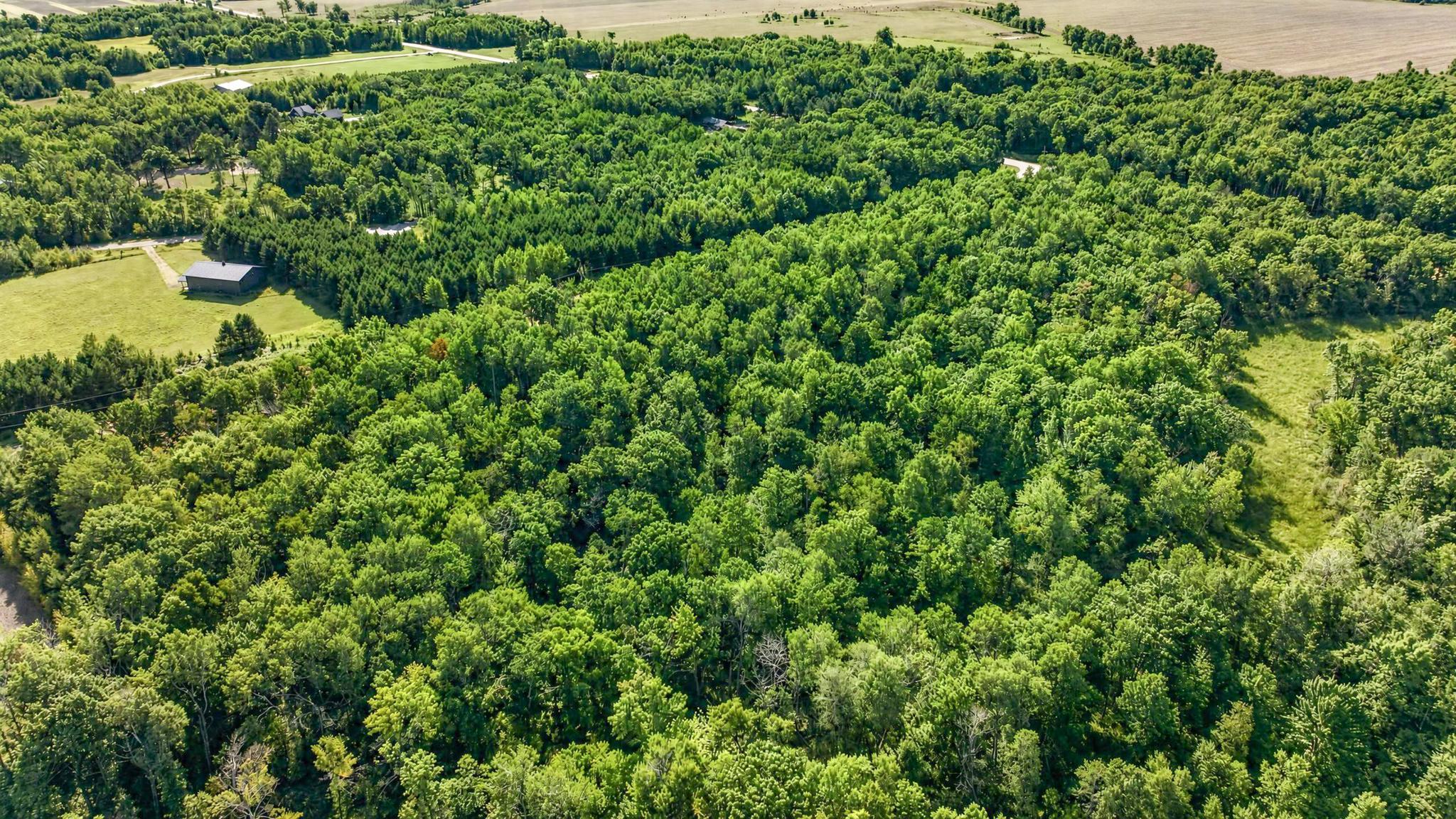 land for sale at Lot 1 25th Avenue SW in Pequot Lakes, MN (photo 7 of 8)