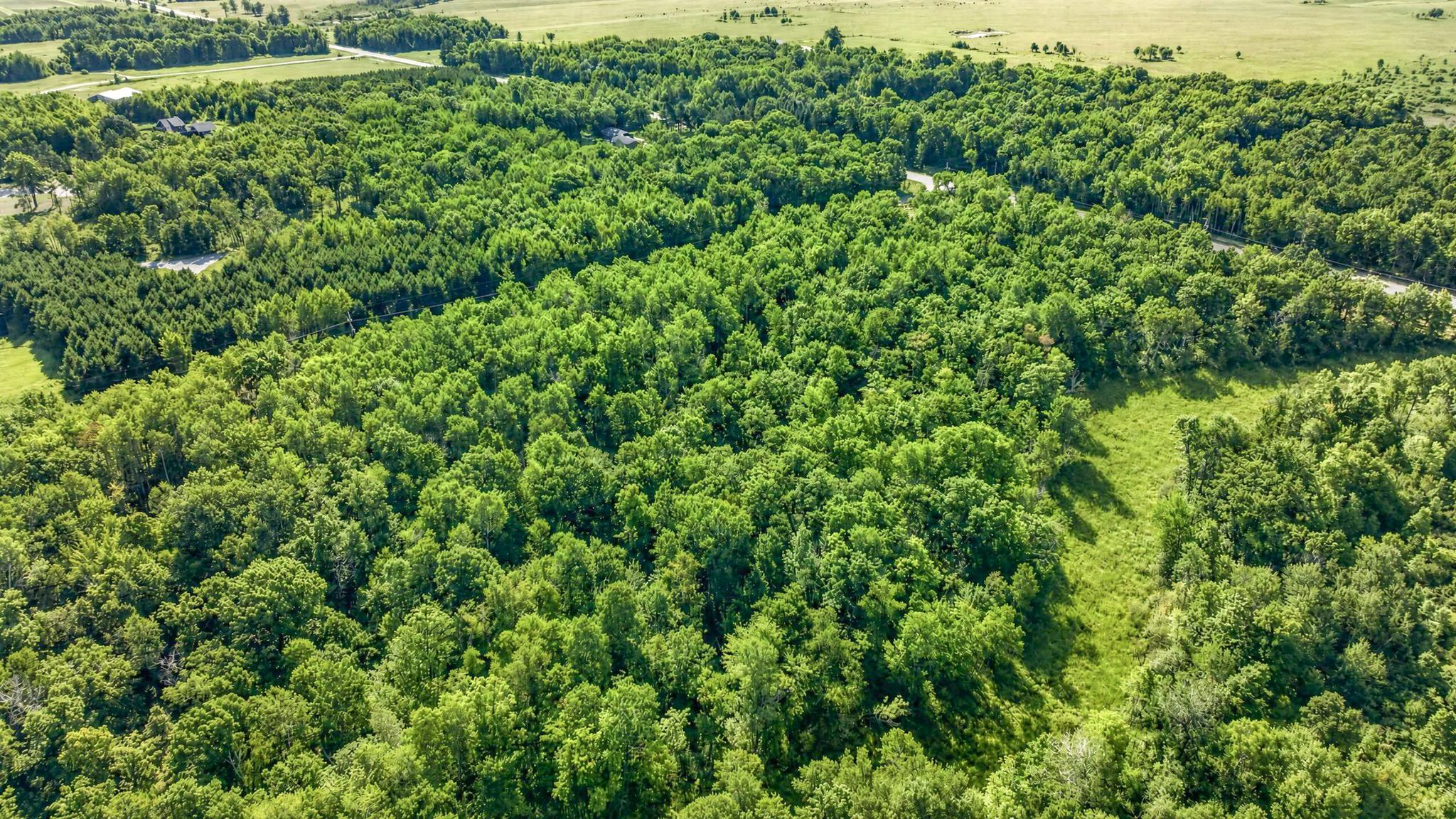 land for sale at Lot 1 25th Avenue SW in Pequot Lakes, MN (photo 8 of 8)