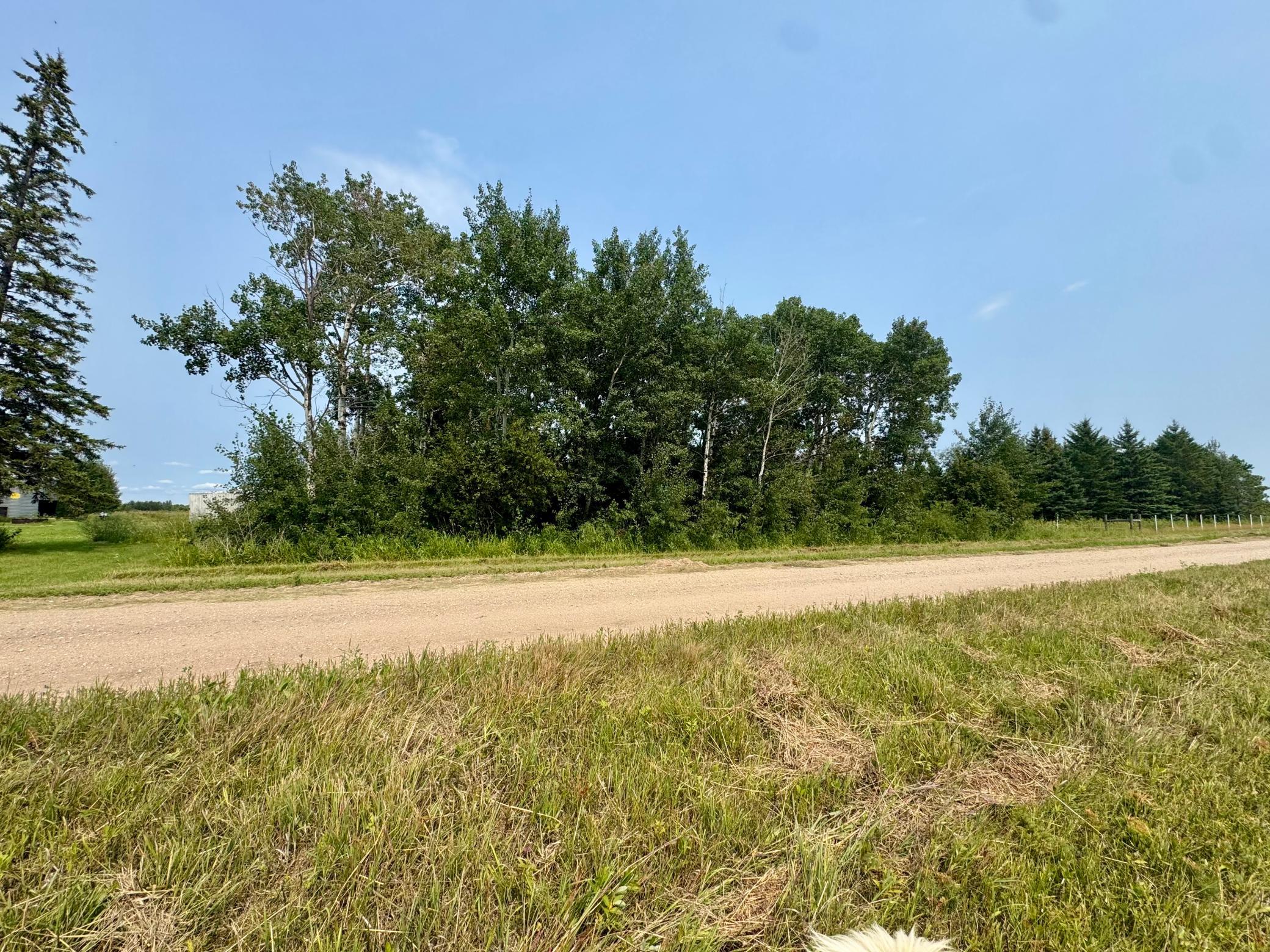 1900 single family home for sale at 26571 260th Street in Badger, MN — 3 bed, 2 bath (photo 6 of 22)