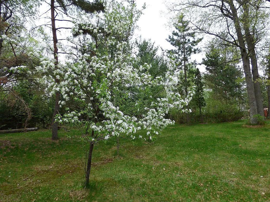 1994 single family home for sale at 22519 County Road 3 in Merrifield, MN — 3 bed, 2 bath (photo 16 of 29)
