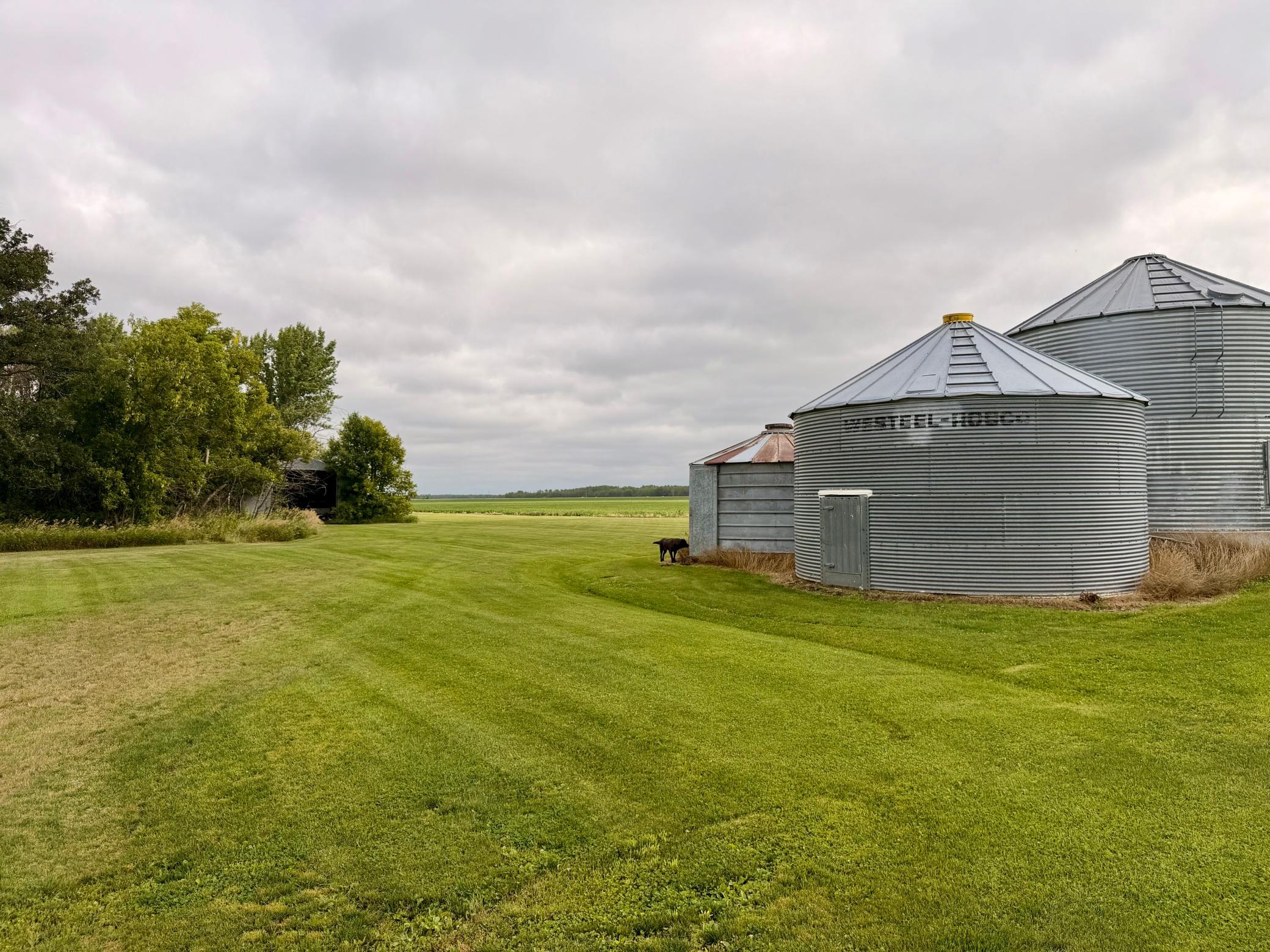 1916 single family home for sale at 25570 County Road 15 in Badger, MN — 4 bed, 2 bath (photo 12 of 24)