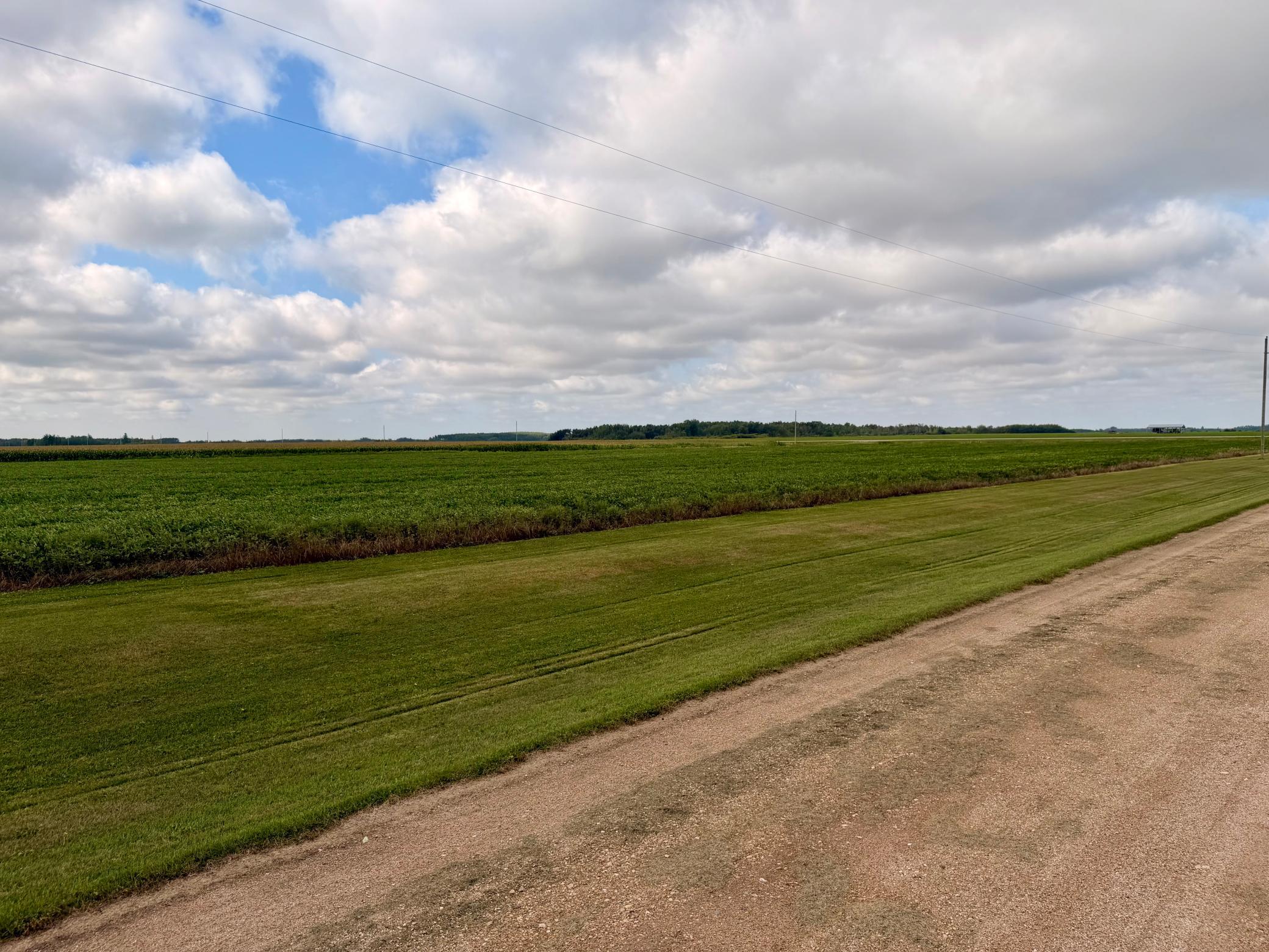 1916 single family home for sale at 25570 County Road 15 in Badger, MN — 4 bed, 2 bath (photo 23 of 24)