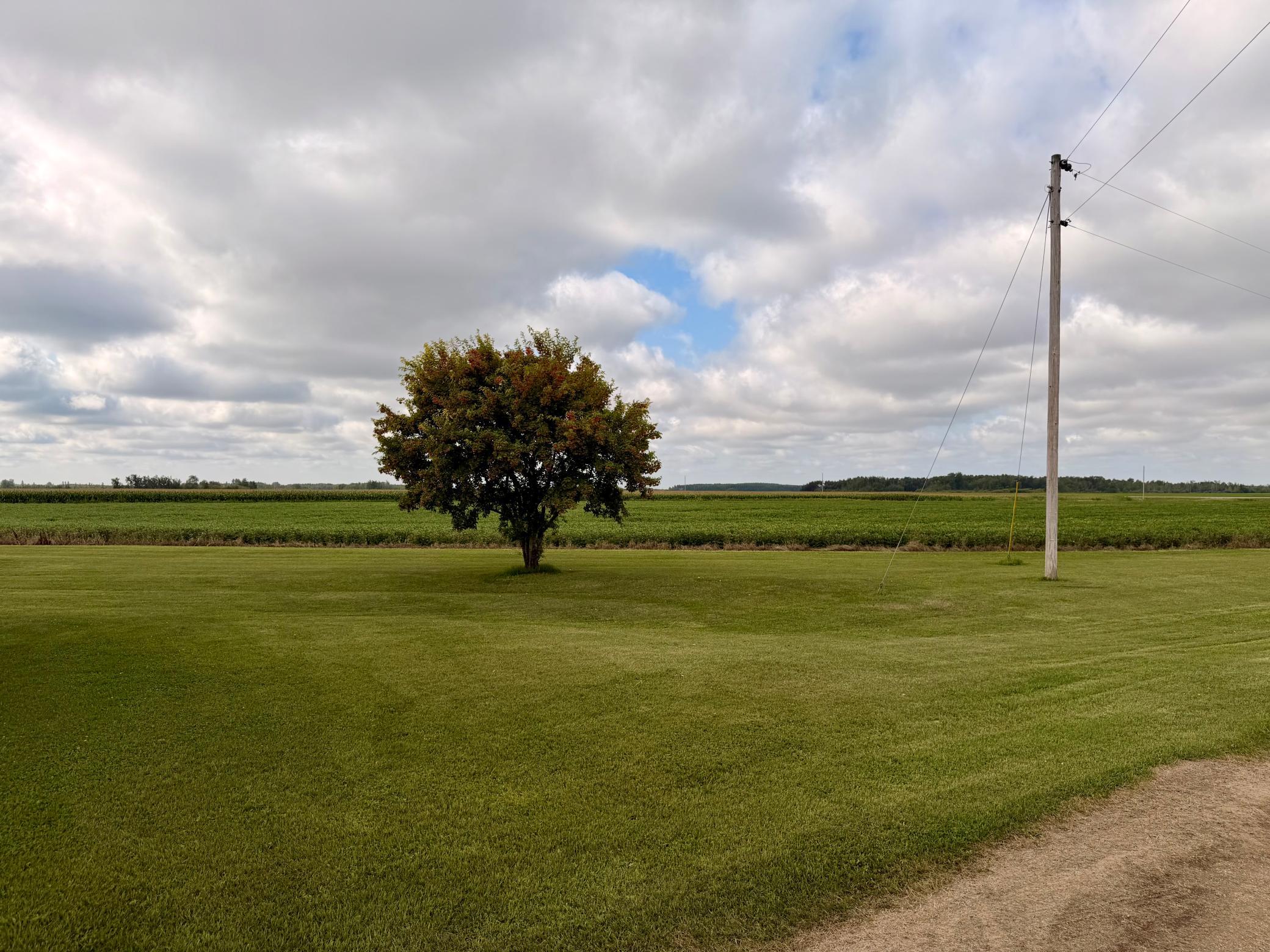 1916 single family home for sale at 25570 County Road 15 in Badger, MN — 4 bed, 2 bath (photo 10 of 24)