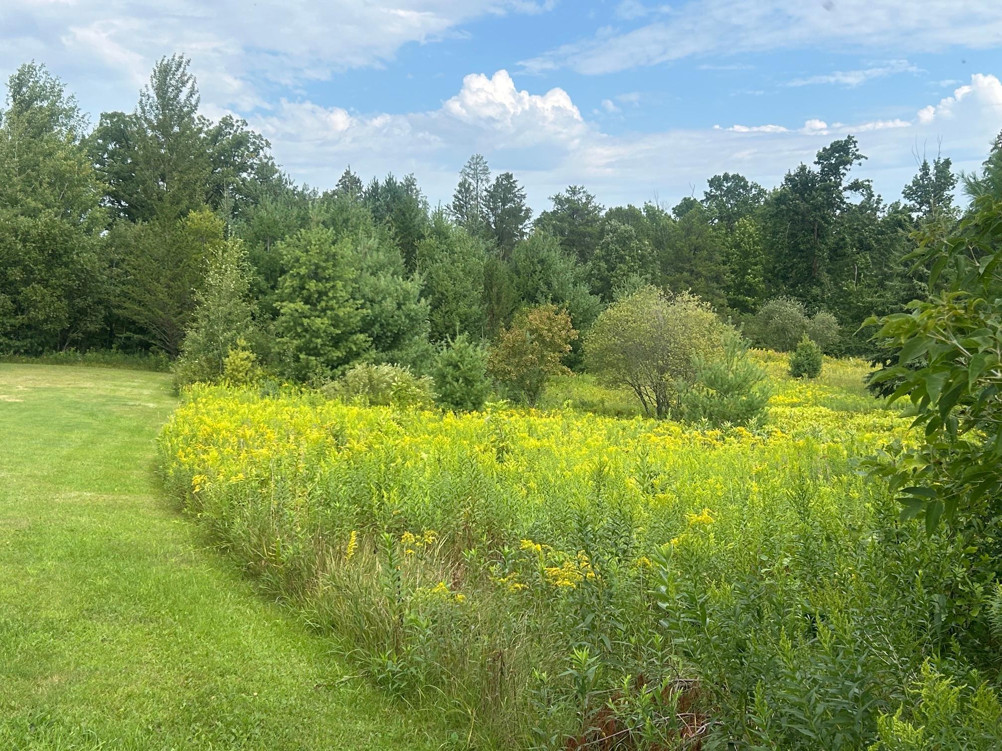 land for sale at TBD Steinhart Circle in Grand Rapids, MN (photo 5 of 7)