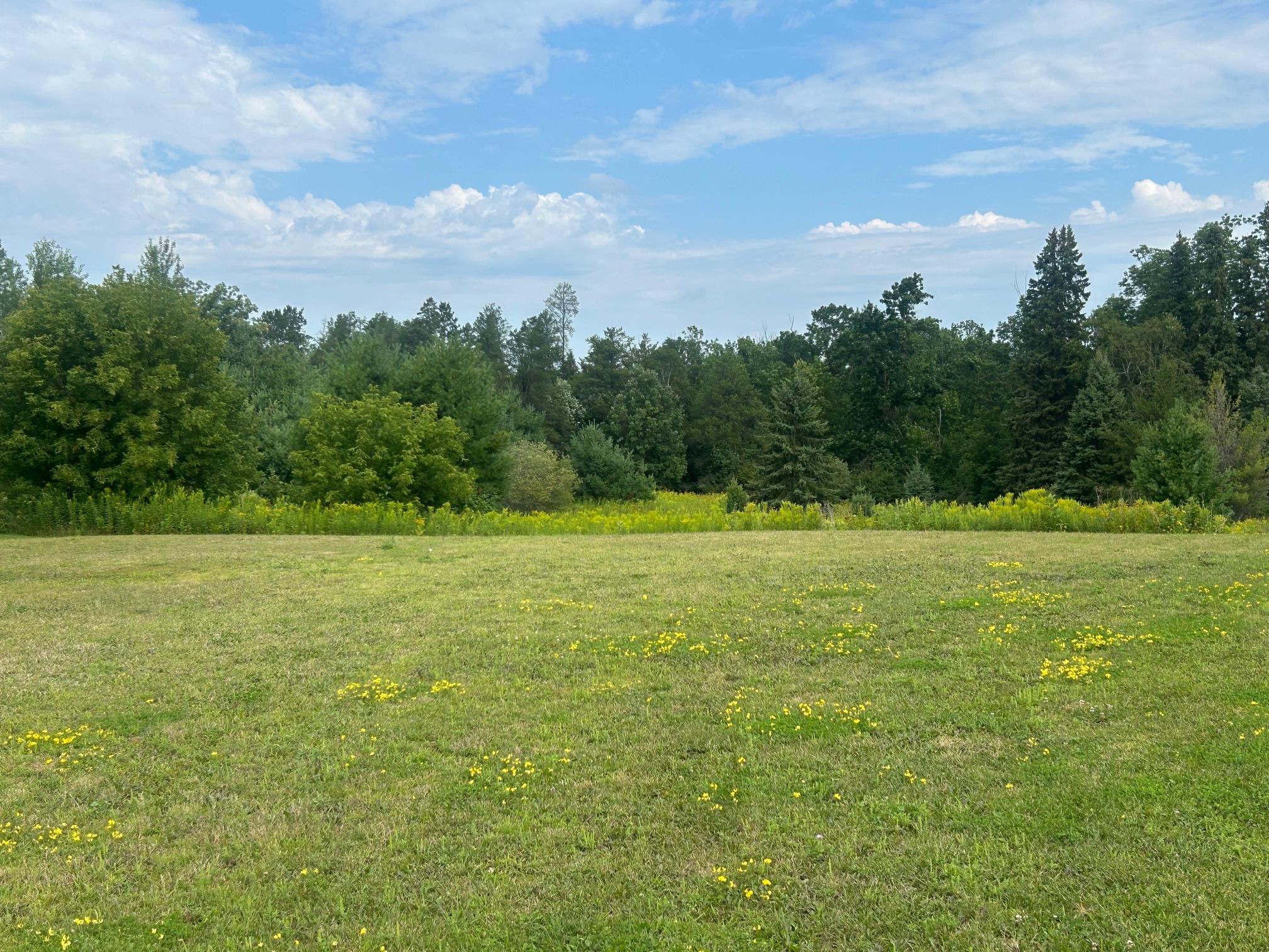 land for sale at TBD Steinhart Circle in Grand Rapids, MN (photo 6 of 7)