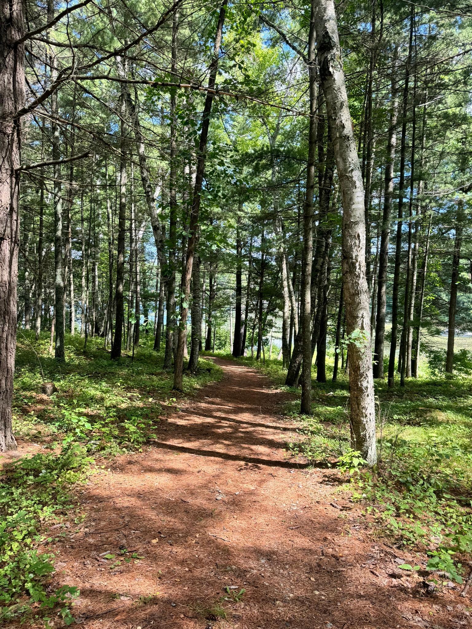 land for sale at TBD Glacial Ridge Trail in Nevis, MN (photo 11 of 14)