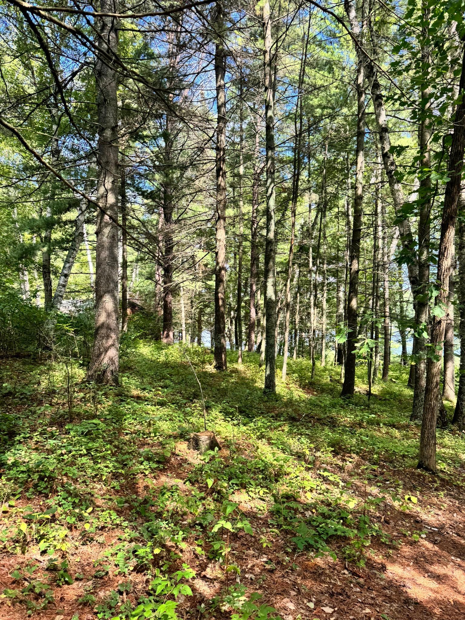 land for sale at TBD Glacial Ridge Trail in Nevis, MN (photo 12 of 14)