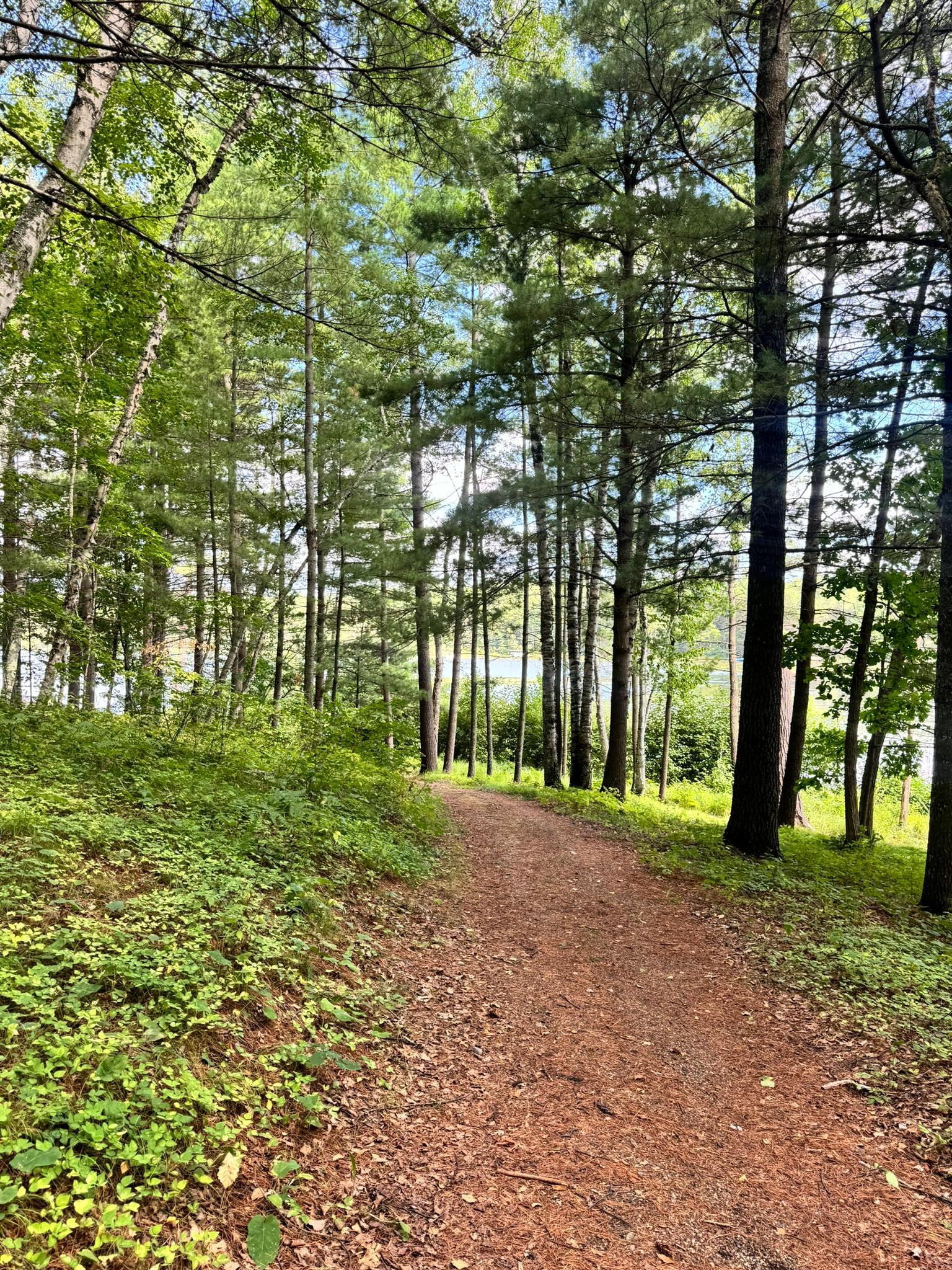 land for sale at TBD Glacial Ridge Trail in Nevis, MN (photo 13 of 14)