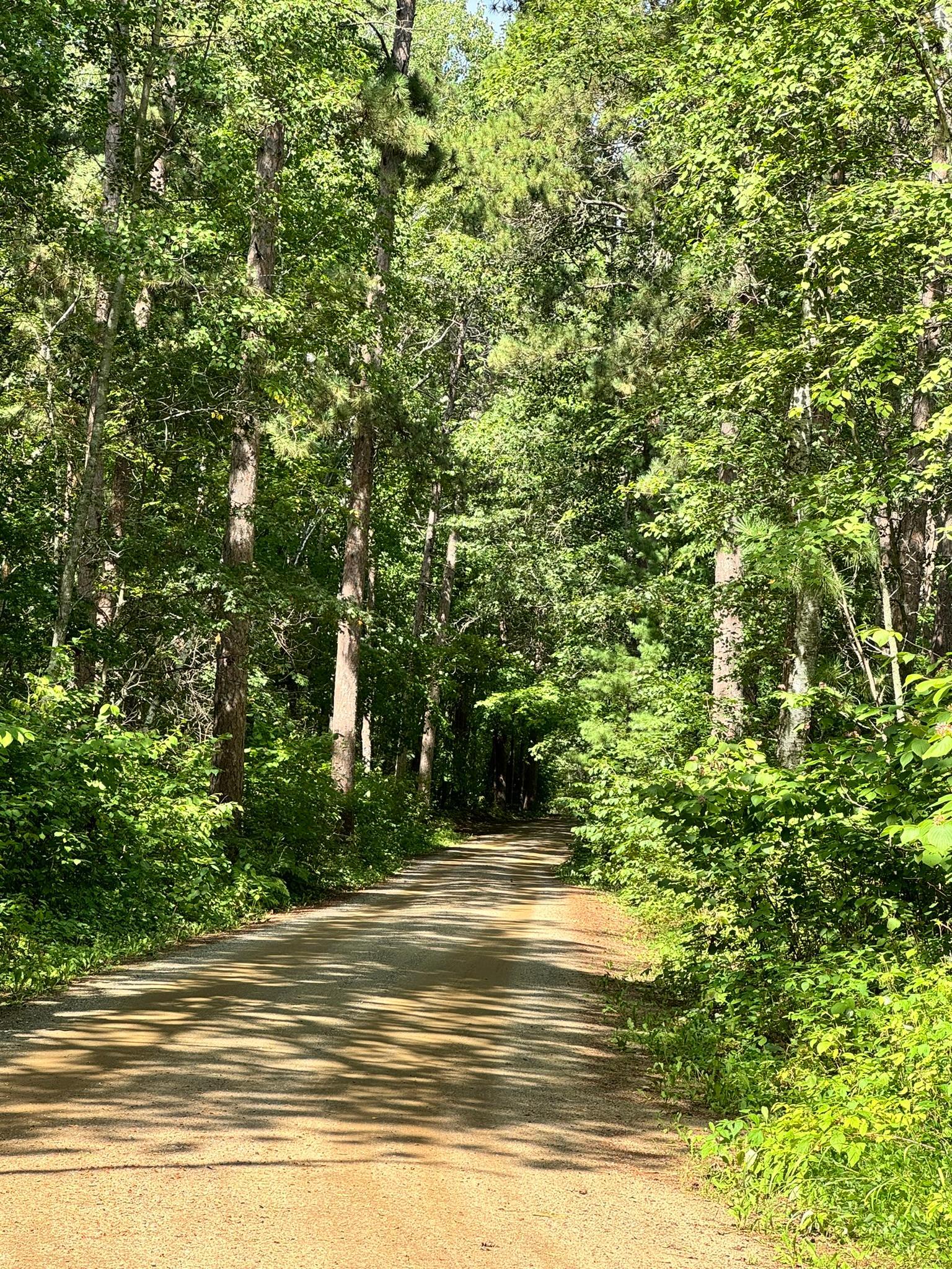land for sale at TBD Glacial Ridge Trail in Nevis, MN (photo 5 of 14)