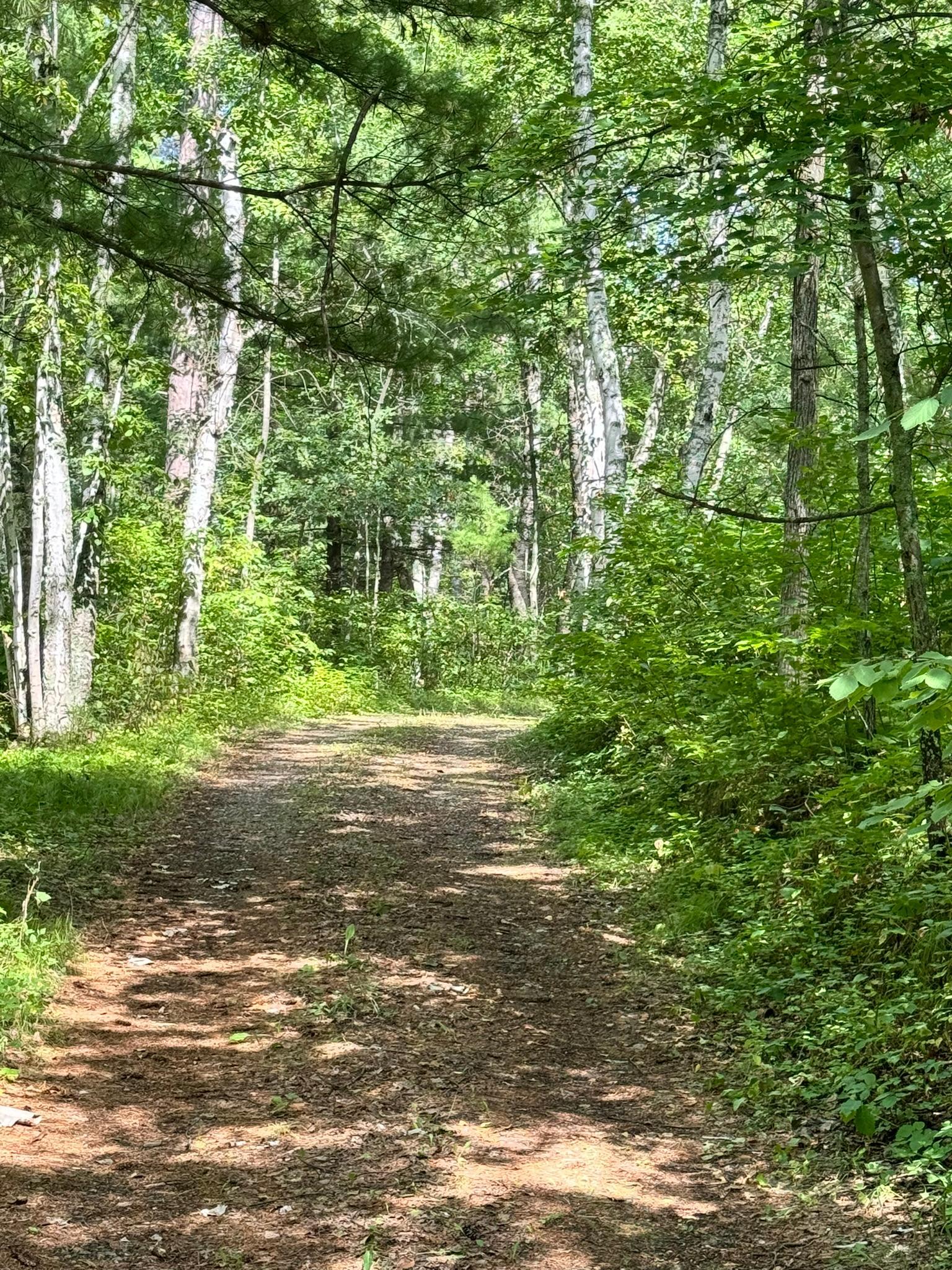 land for sale at TBD Glacial Ridge Trail in Nevis, MN (photo 6 of 14)