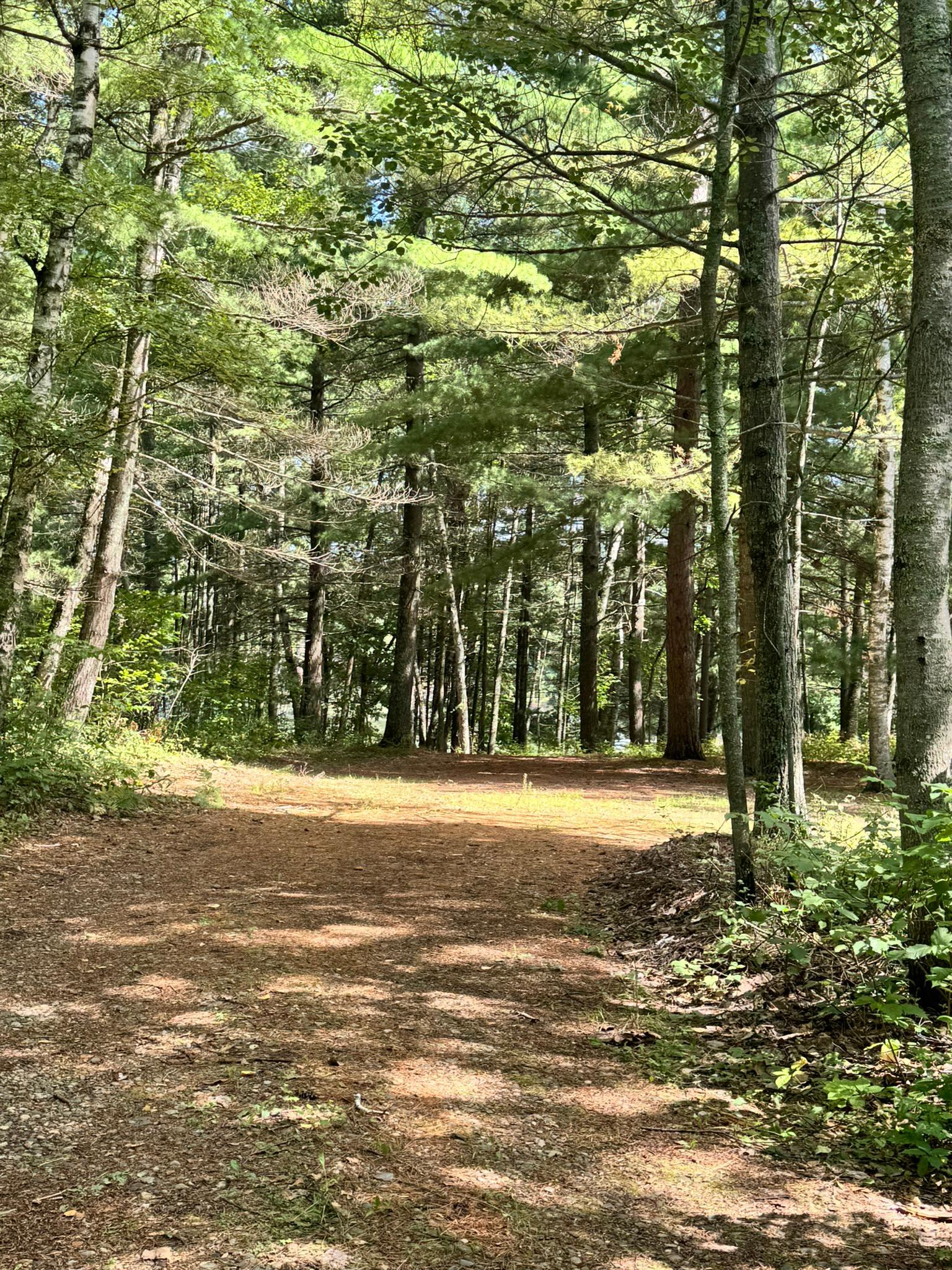 land for sale at TBD Glacial Ridge Trail in Nevis, MN (photo 7 of 14)