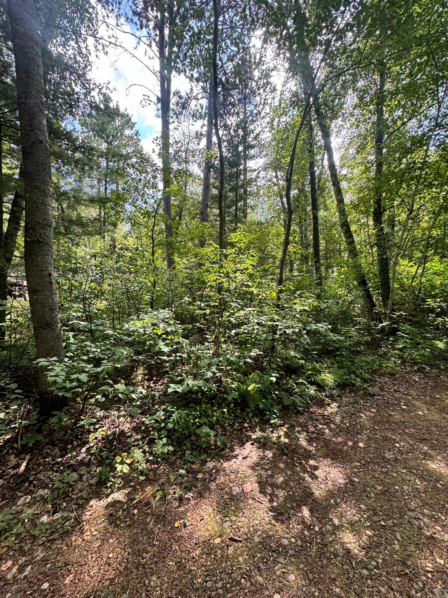 land for sale at TBD Glacial Ridge Trail in Nevis, MN (photo 8 of 14)
