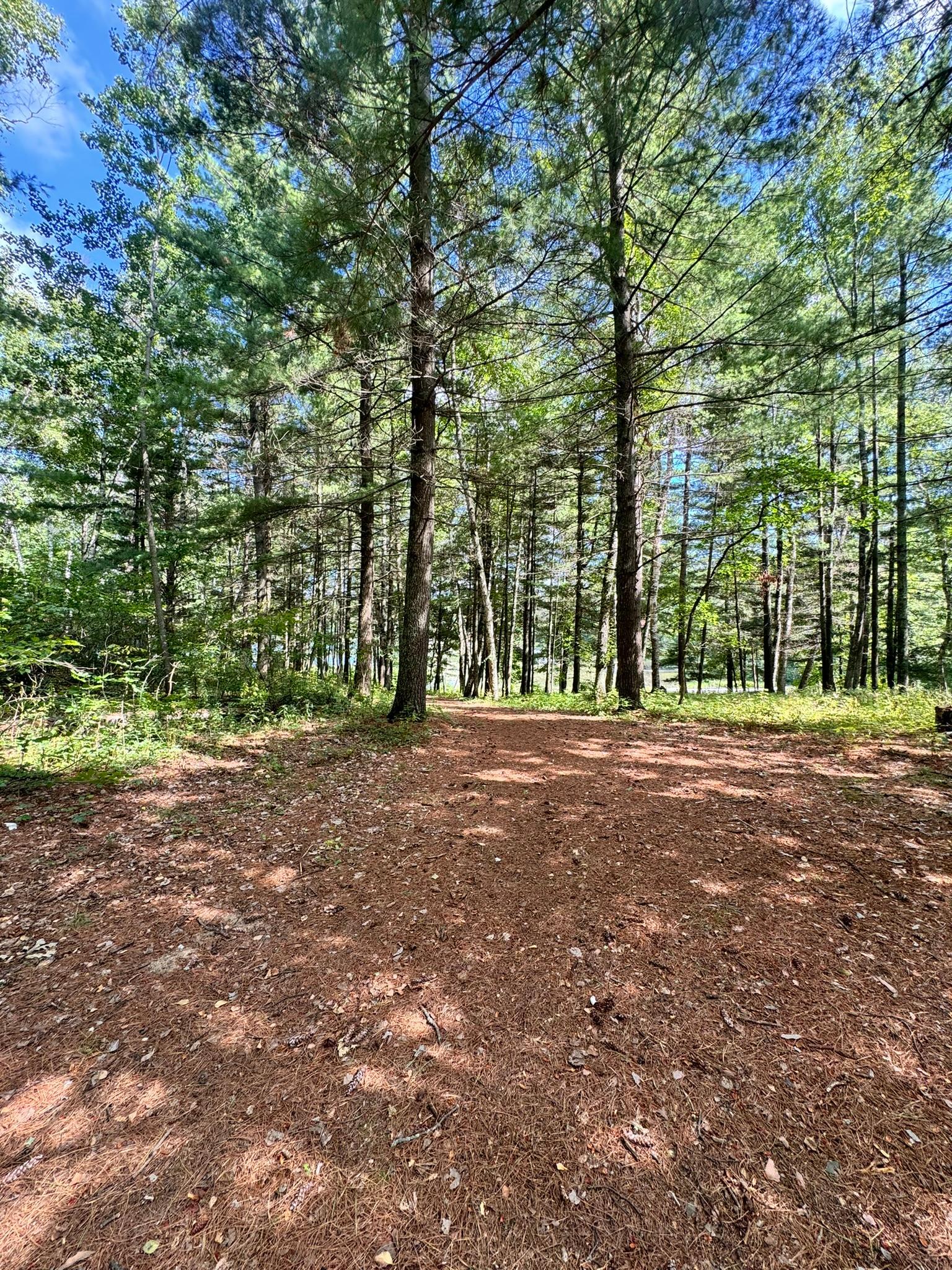 land for sale at TBD Glacial Ridge Trail in Nevis, MN (photo 10 of 14)