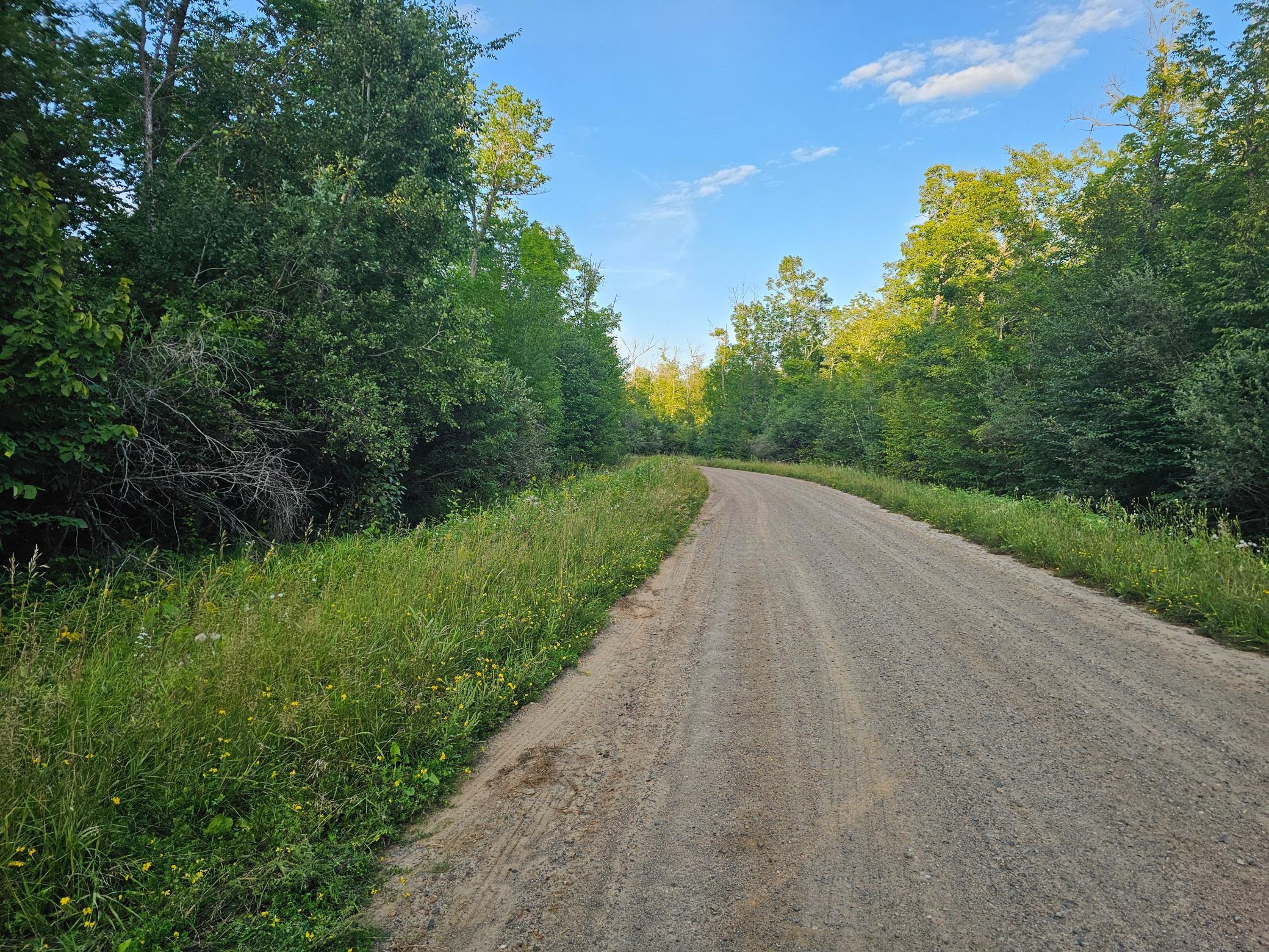 land for sale at Lot 3 Woodlands Road in Aitkin, MN (photo 3 of 5)