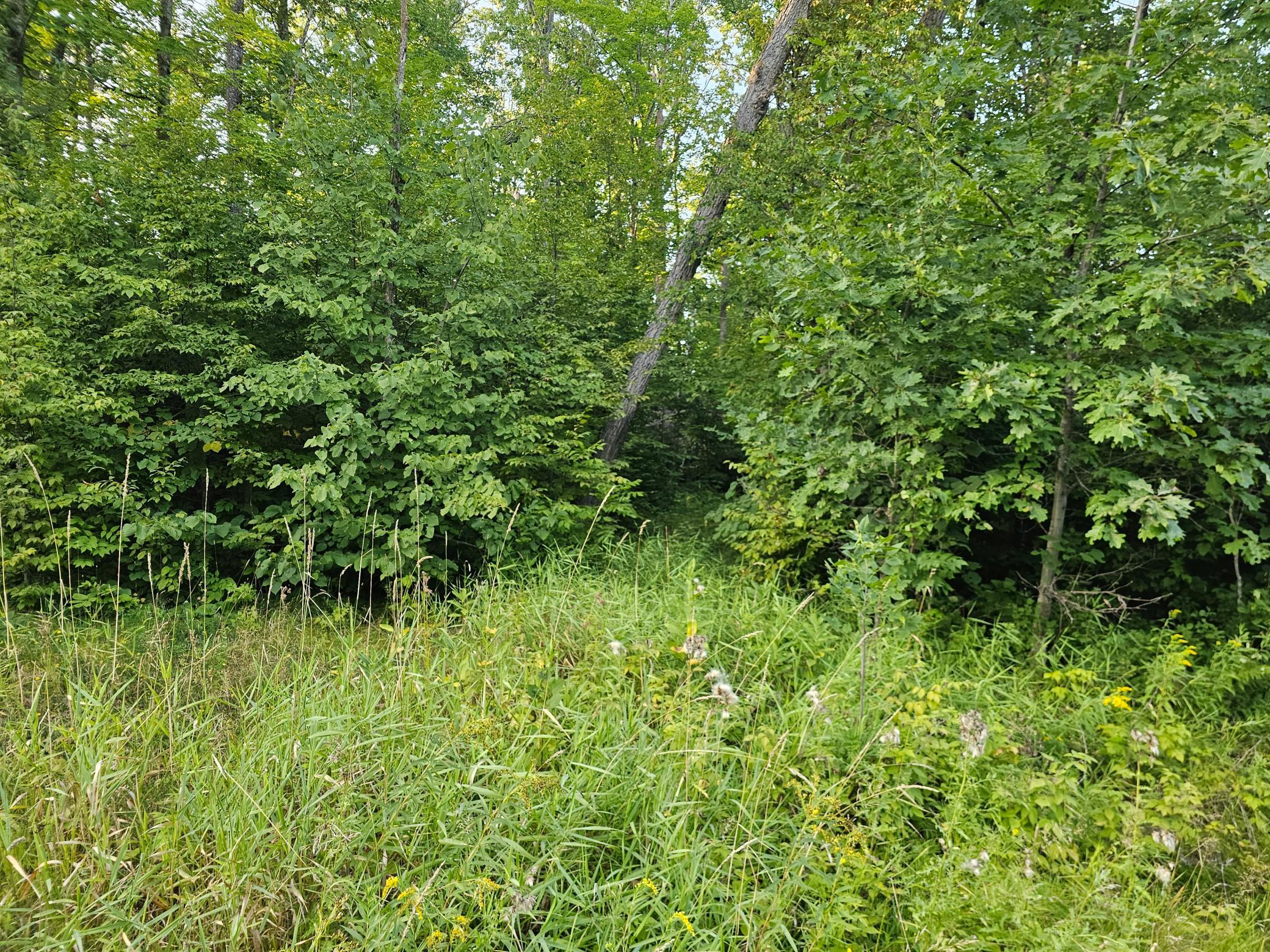 land for sale at Lot 3 Woodlands Road in Aitkin, MN (photo 4 of 5)