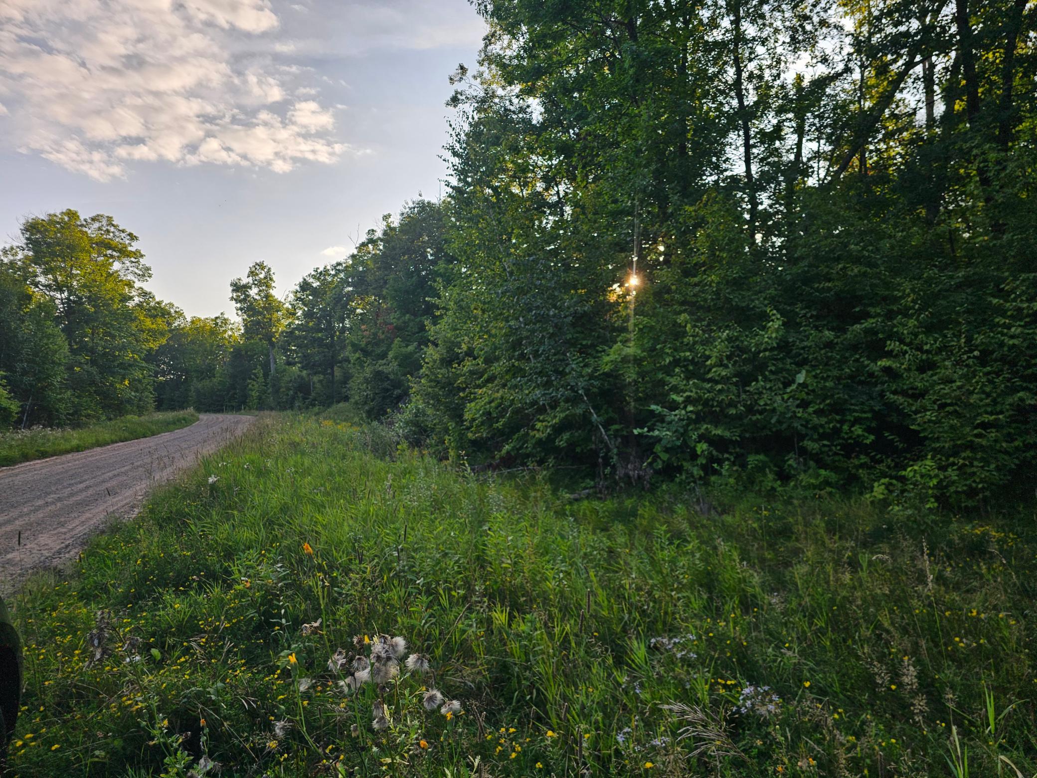 land for sale at Lot 3 Woodlands Road in Aitkin, MN (photo 5 of 5)