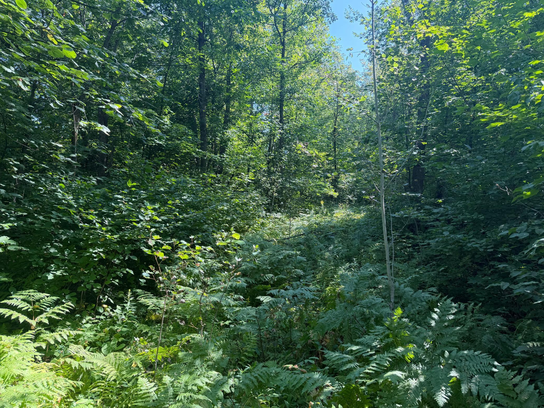 land for sale at TBD S Tulaby Lake LN in Waubun, MN (photo 12 of 15)