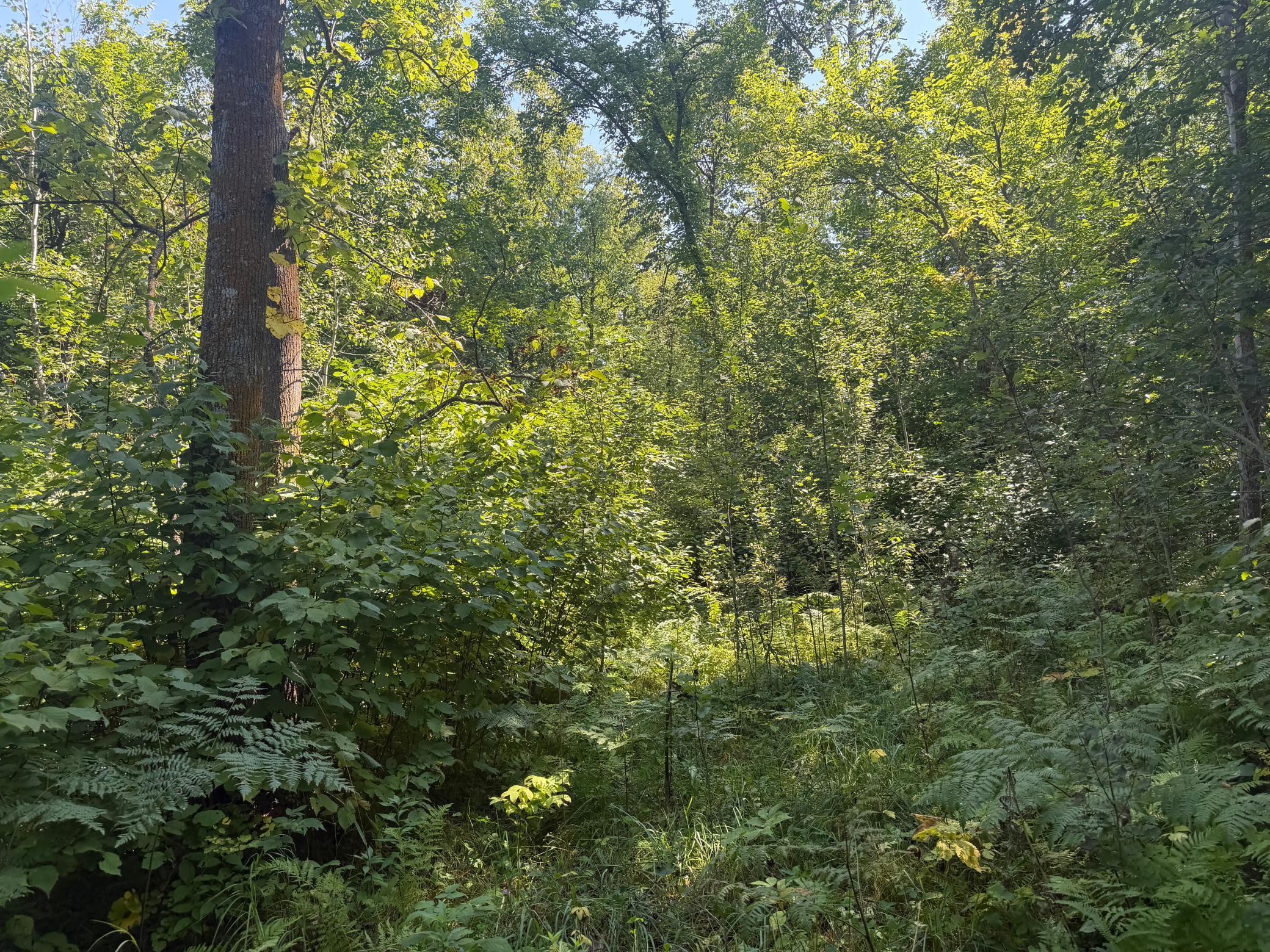 land for sale at TBD S Tulaby Lake LN in Waubun, MN (photo 13 of 15)