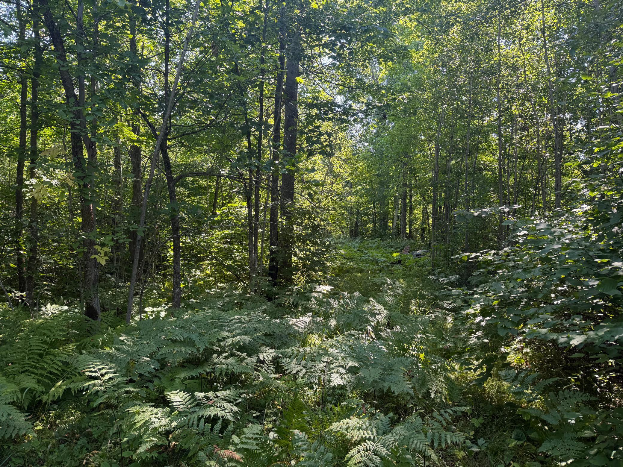 land for sale at TBD S Tulaby Lake LN in Waubun, MN (photo 14 of 15)