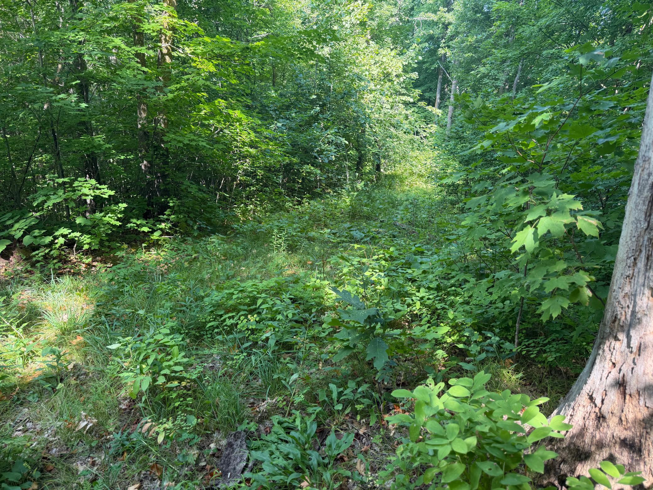 land for sale at TBD S Tulaby Lake LN in Waubun, MN (photo 3 of 15)