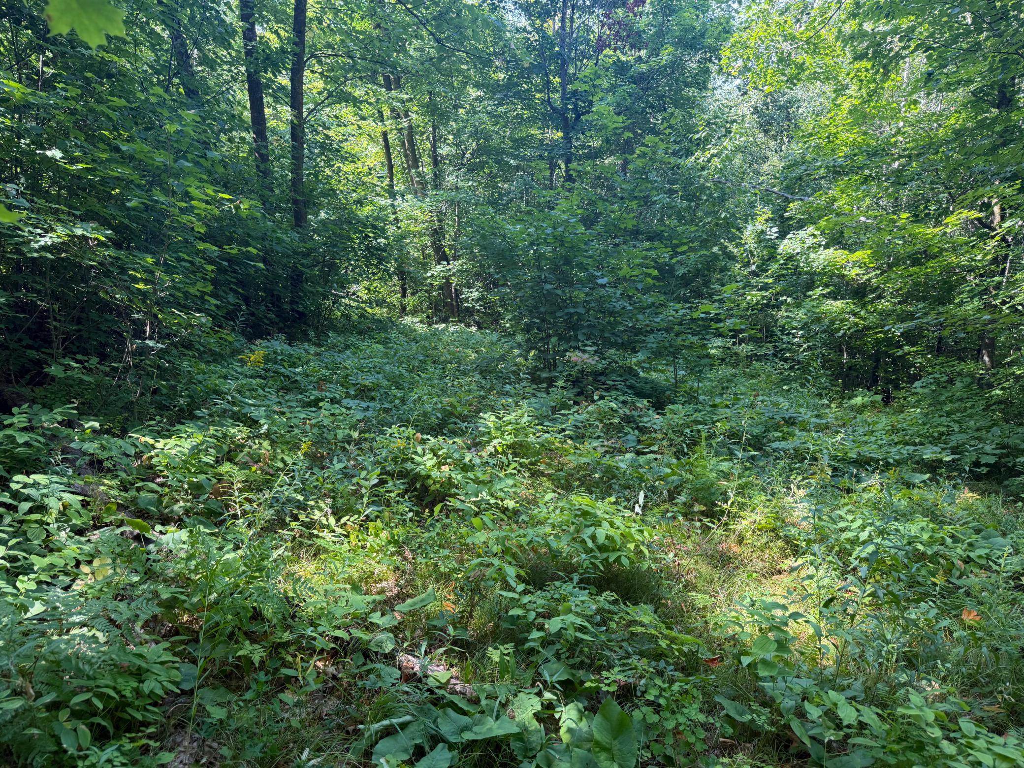 land for sale at TBD S Tulaby Lake LN in Waubun, MN (photo 4 of 15)