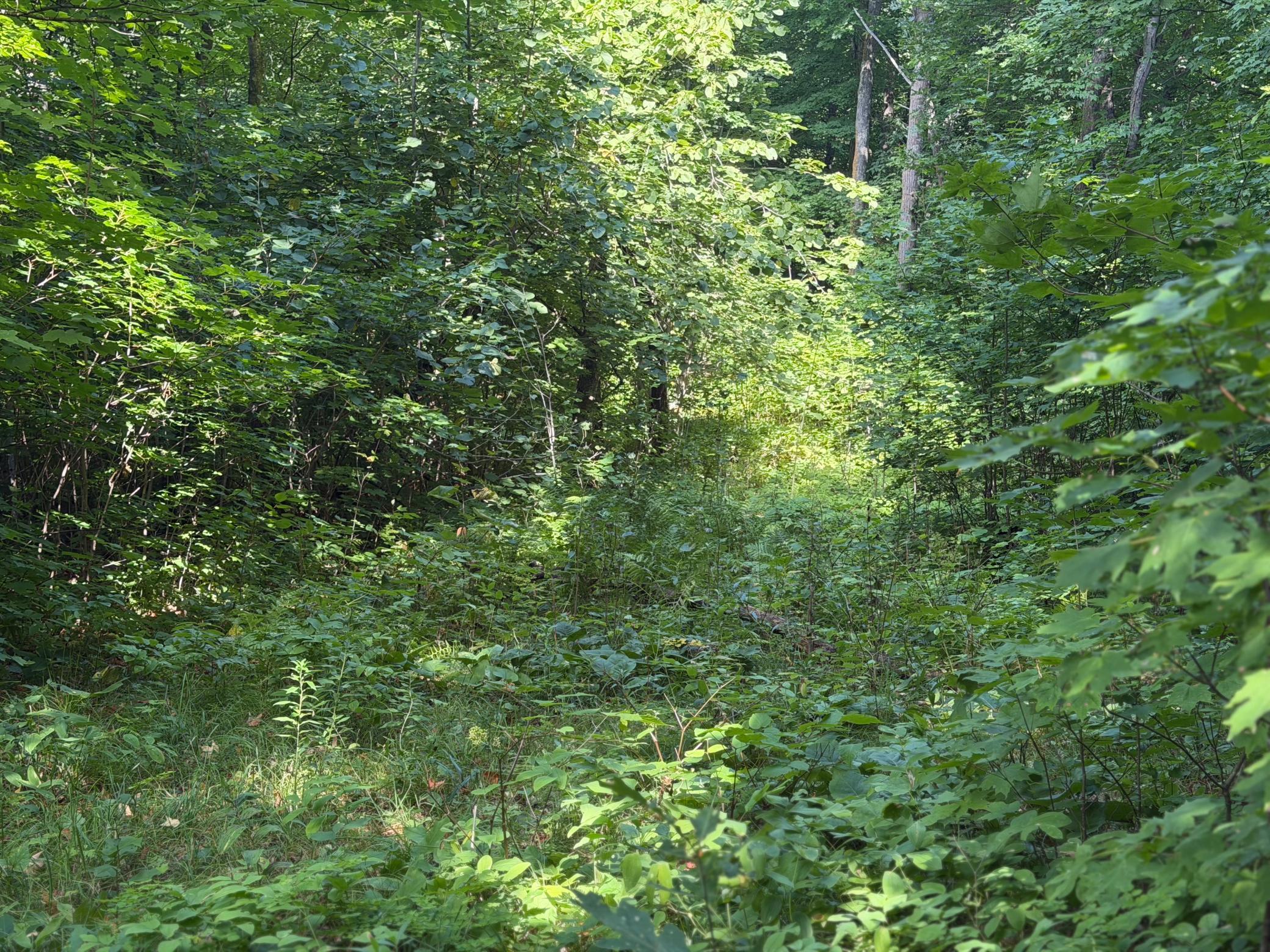 land for sale at TBD S Tulaby Lake LN in Waubun, MN (photo 5 of 15)