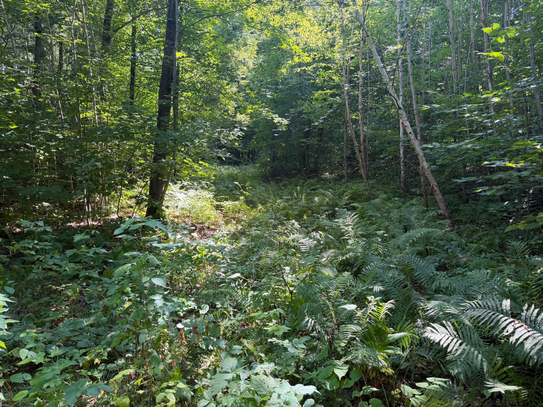 land for sale at TBD S Tulaby Lake LN in Waubun, MN (photo 6 of 15)