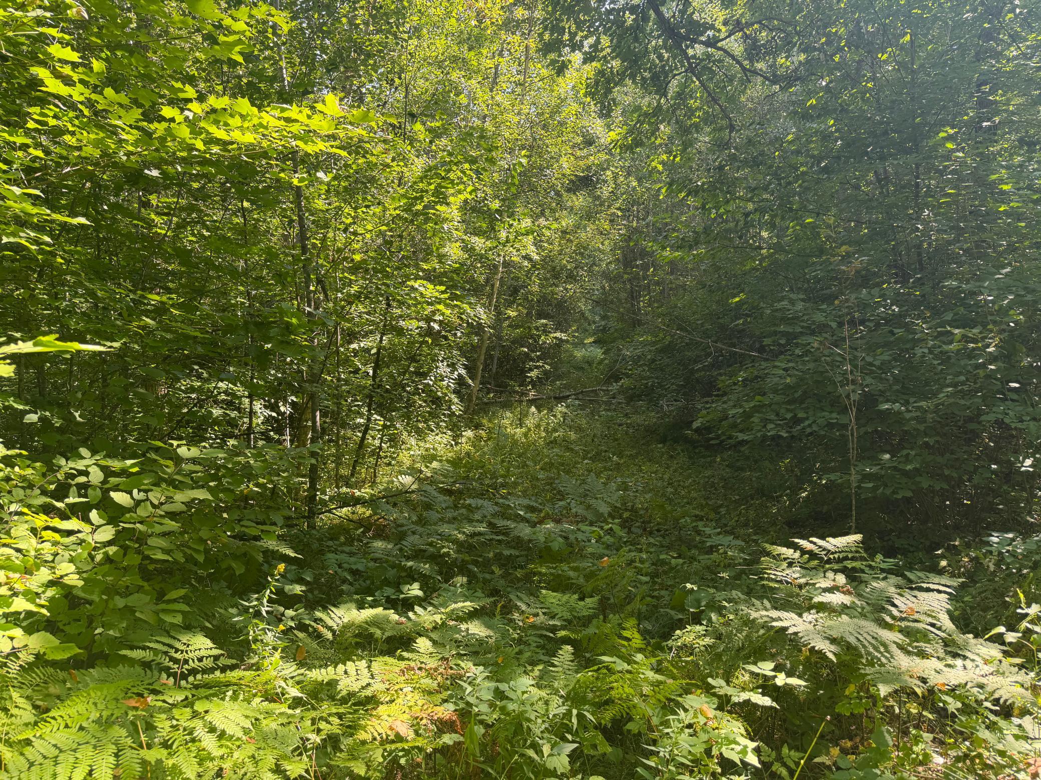 land for sale at TBD S Tulaby Lake LN in Waubun, MN (photo 7 of 15)